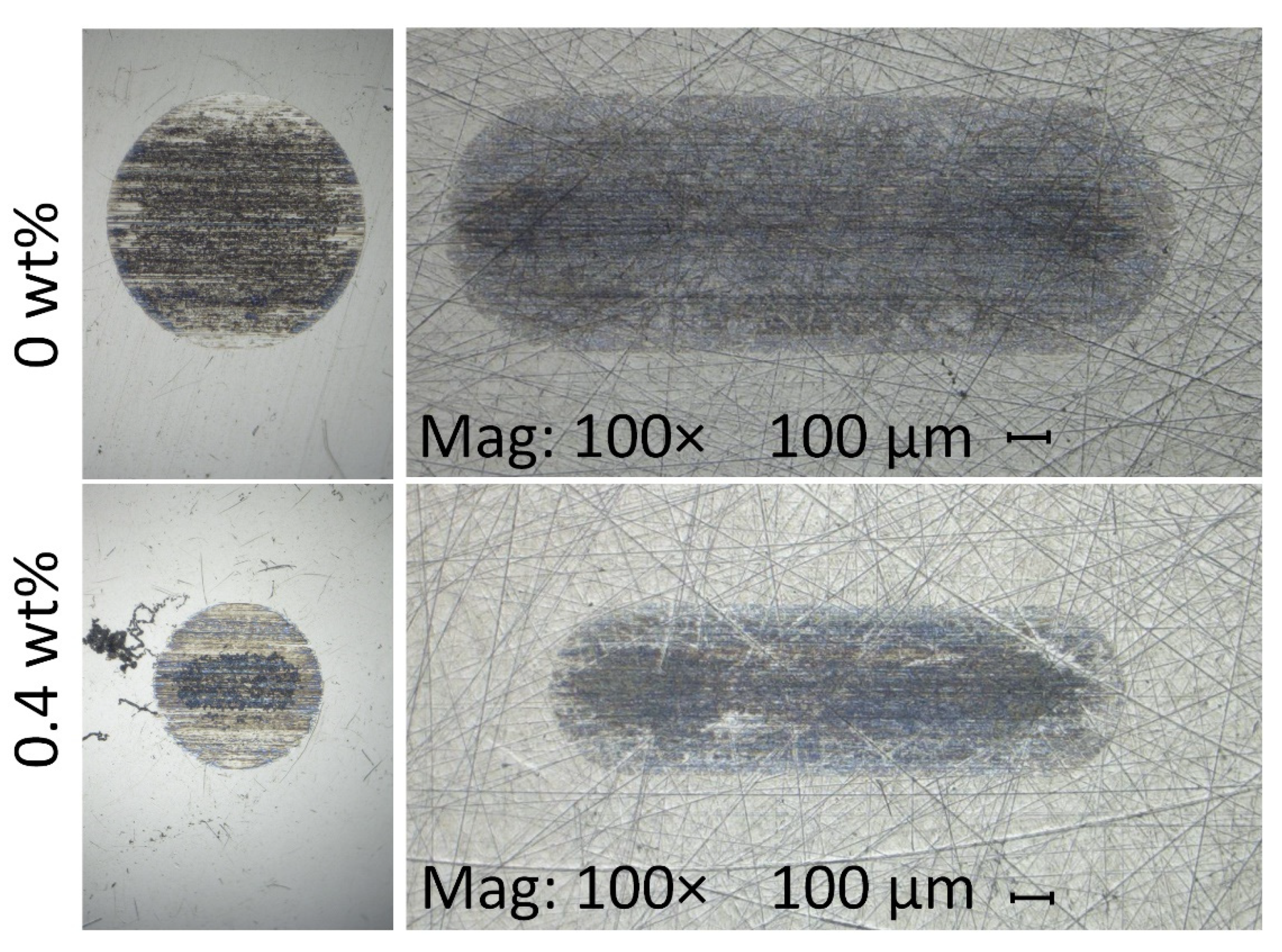 Preprints 79049 g009