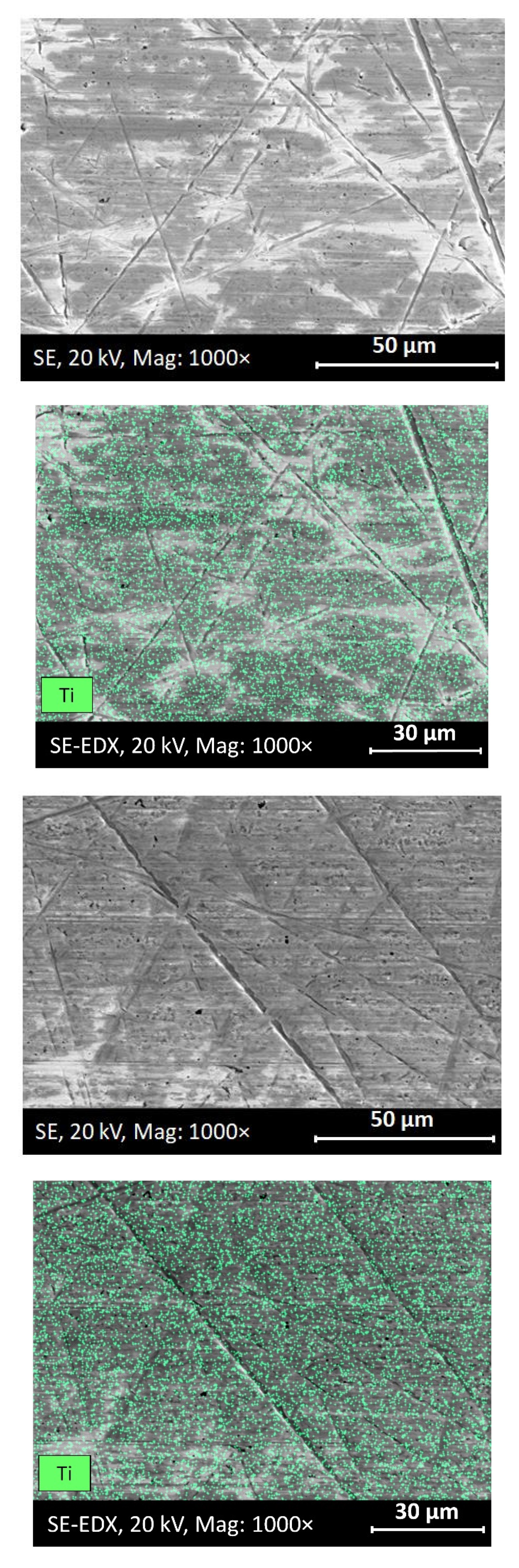 Preprints 79049 g011