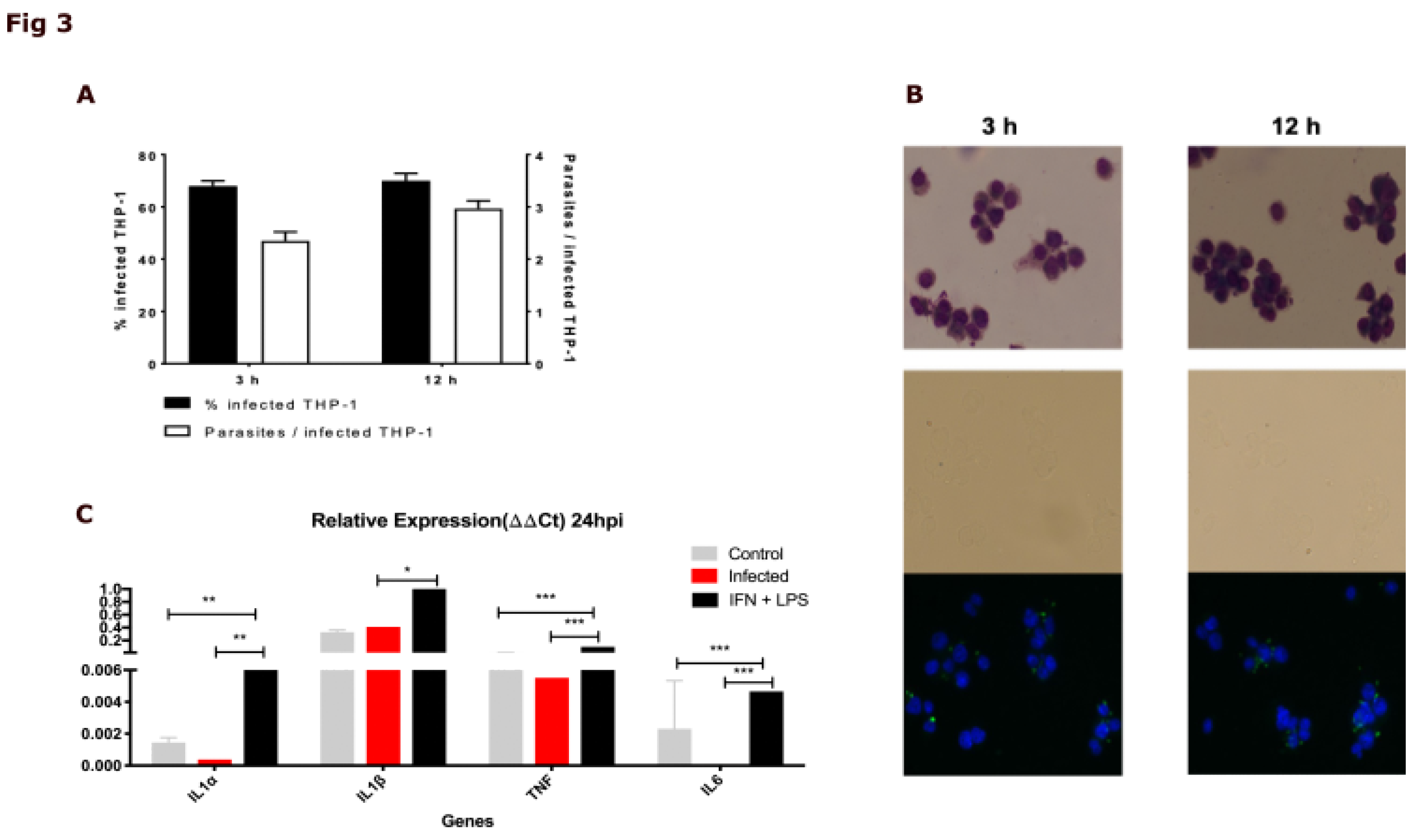 Preprints 116038 g003