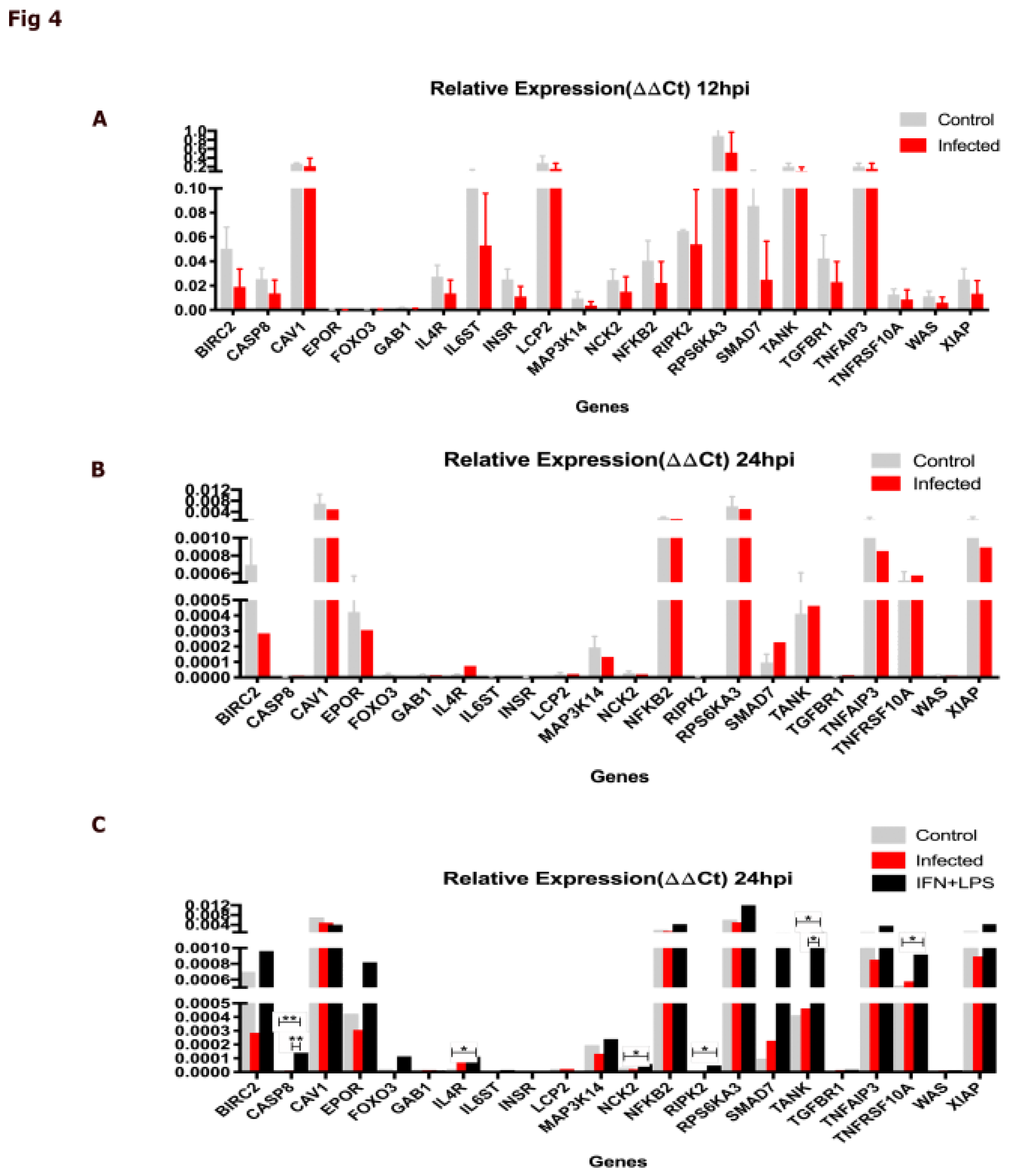 Preprints 116038 g004