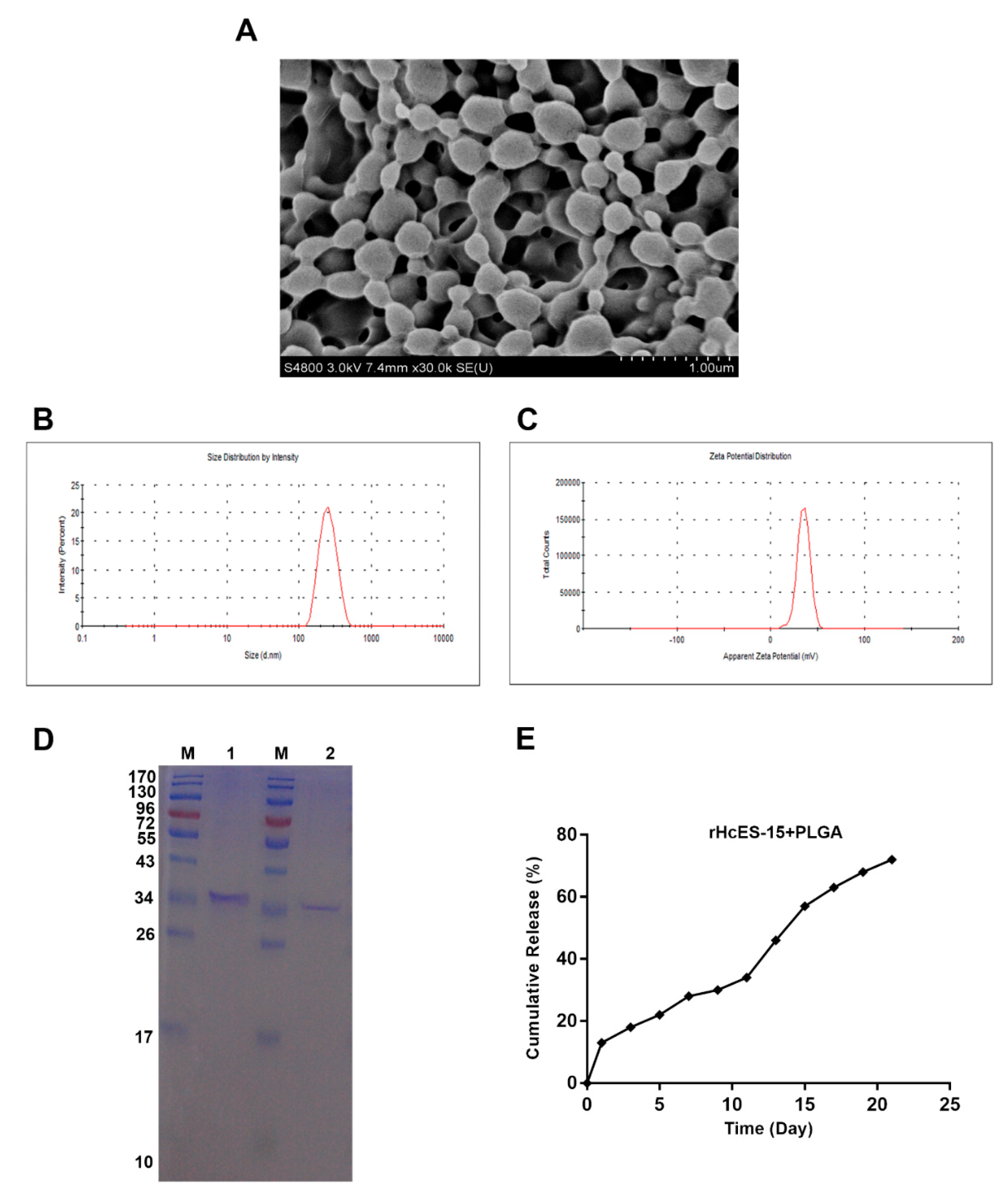 Preprints 88110 g001