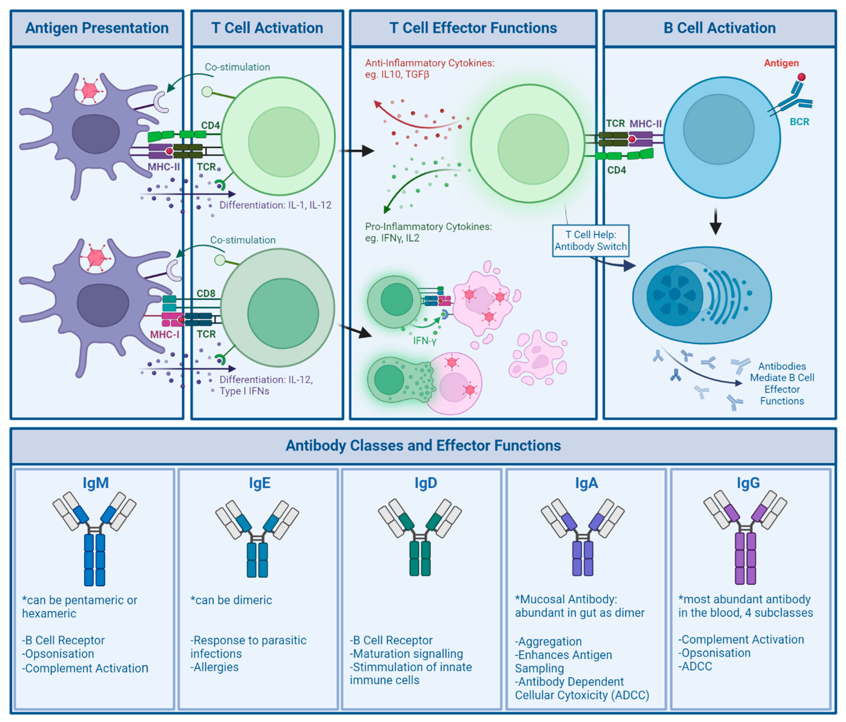 Preprints 107469 g004