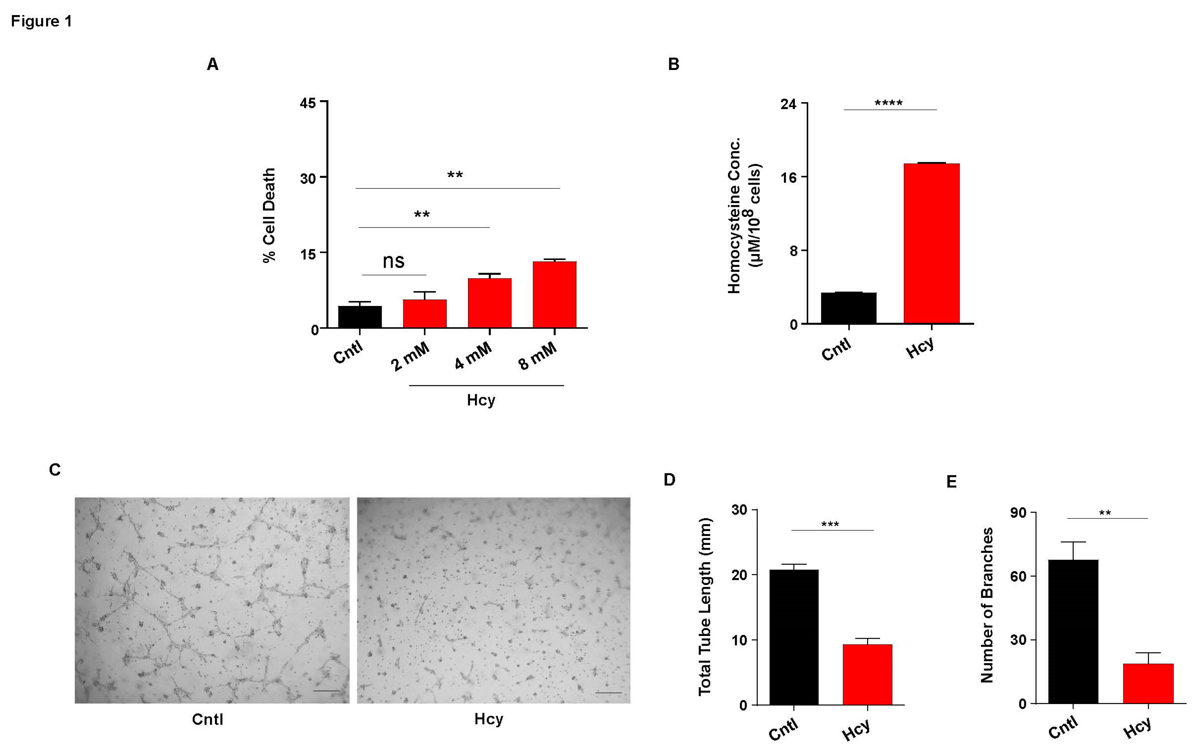 Preprints 84104 g001