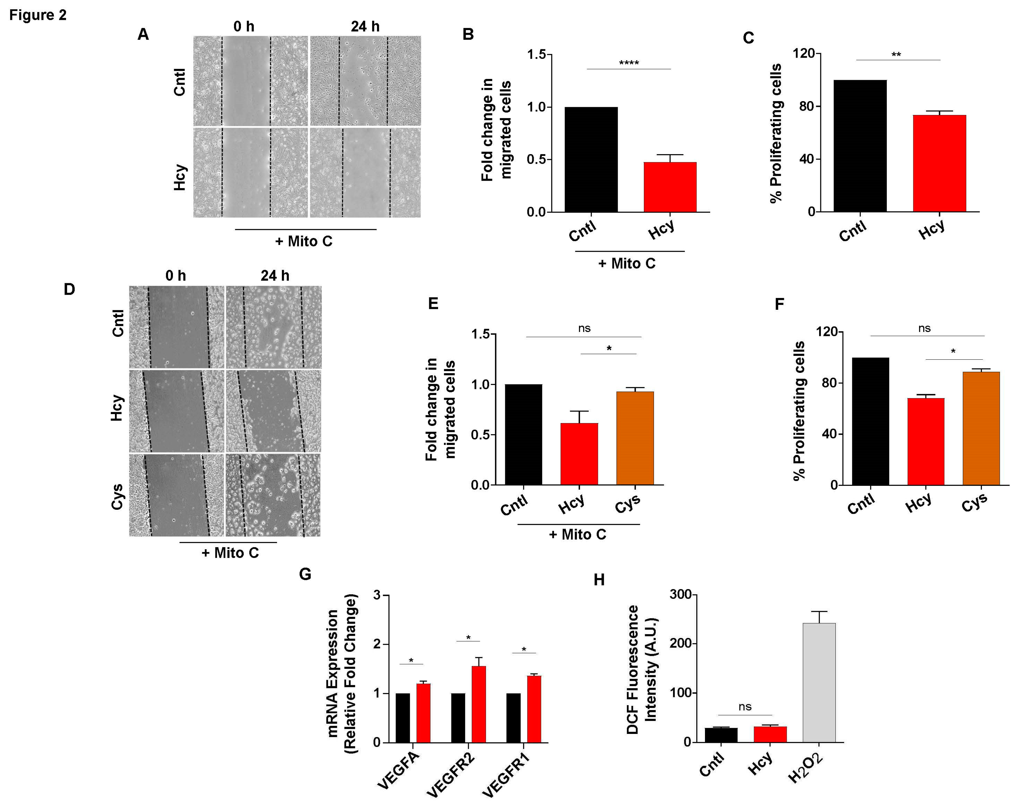 Preprints 84104 g002