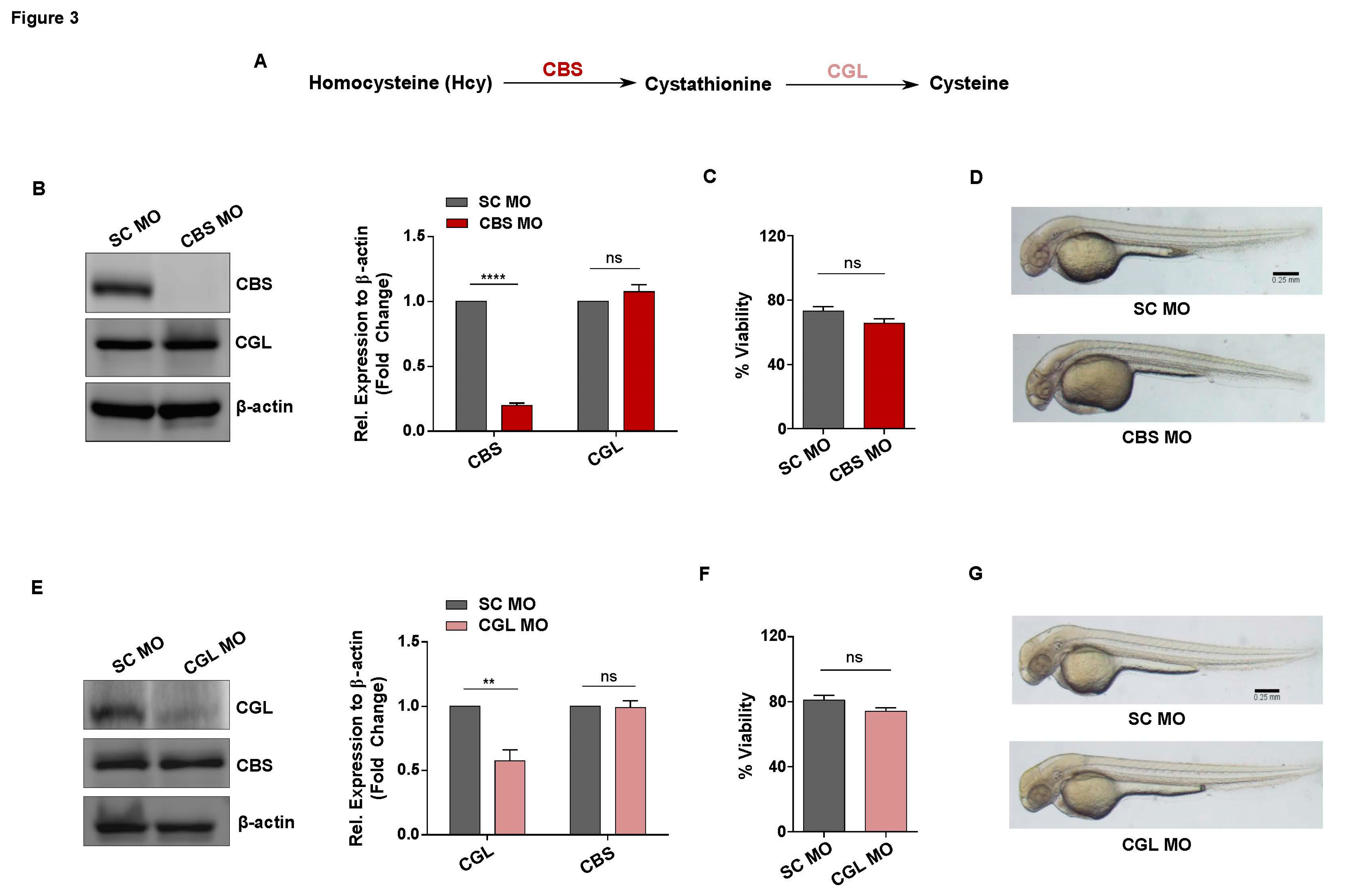 Preprints 84104 g003