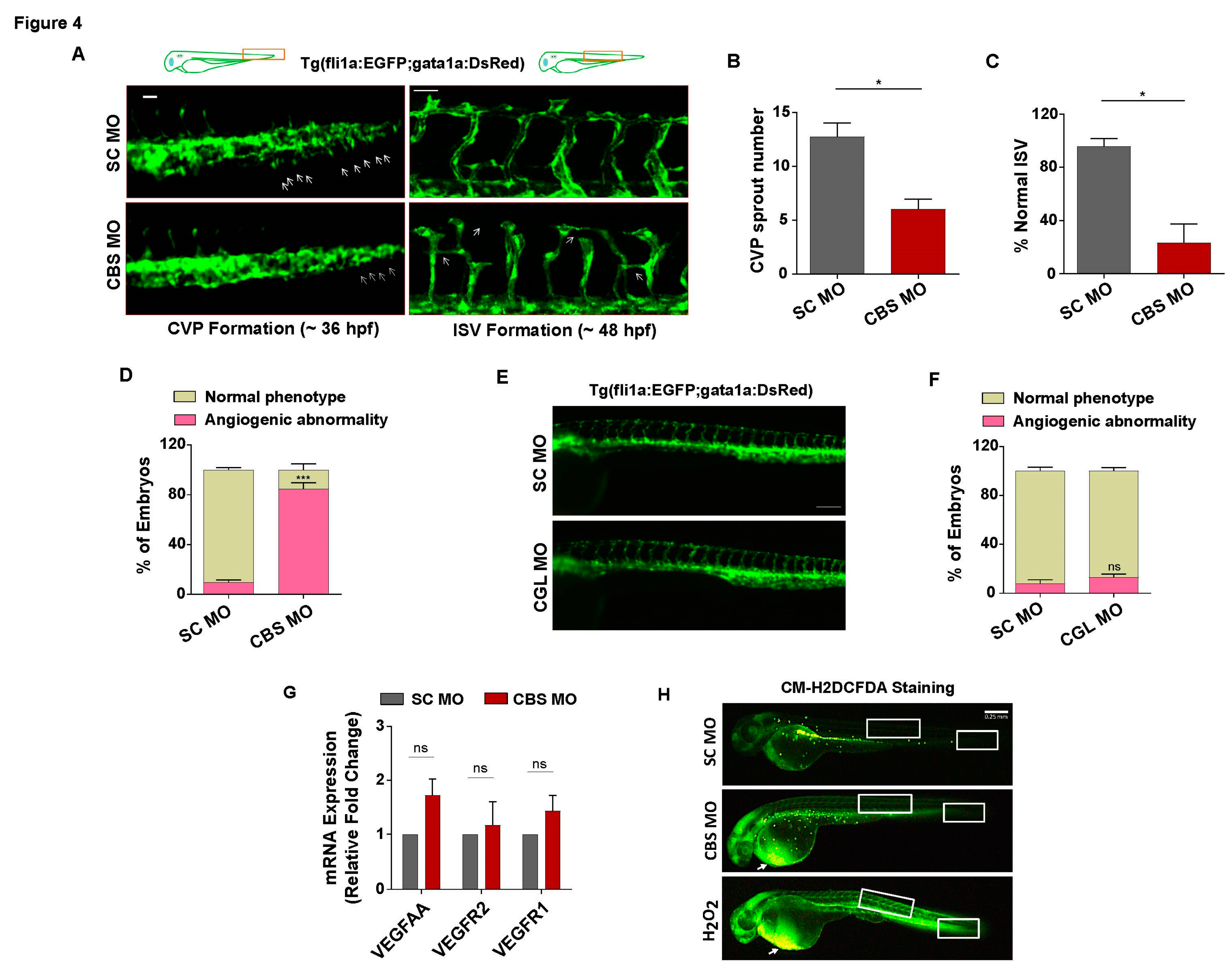 Preprints 84104 g004