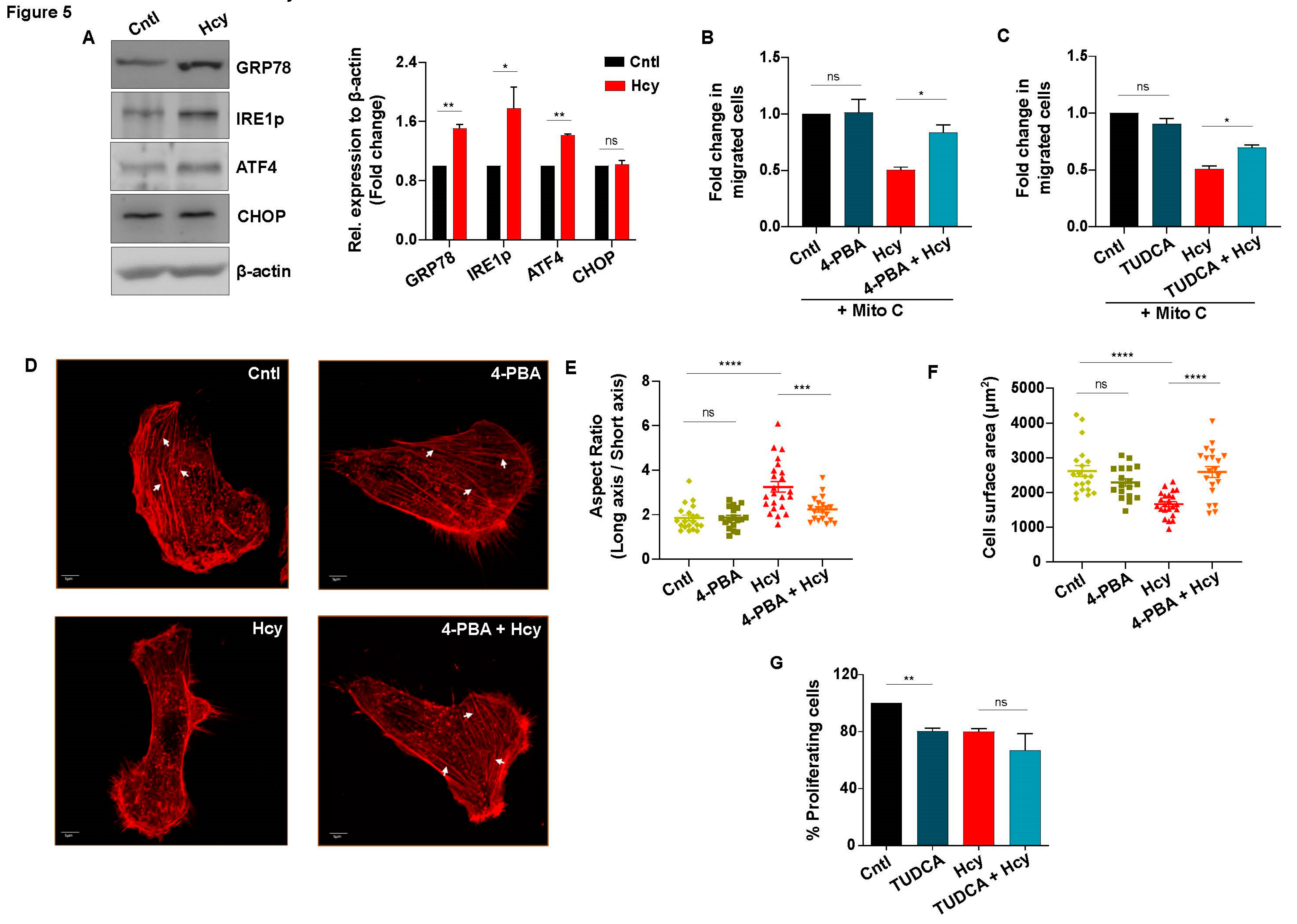 Preprints 84104 g005