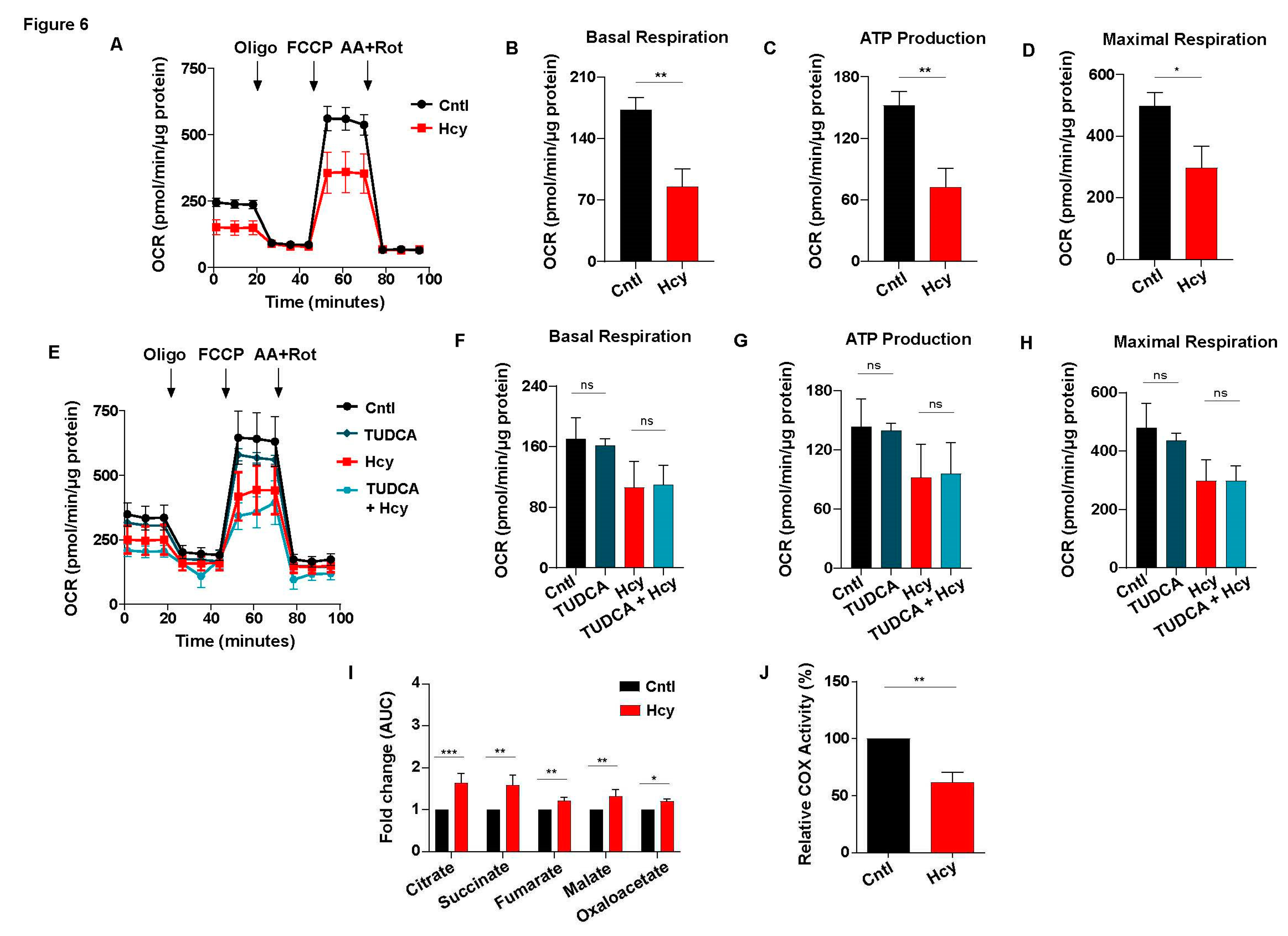 Preprints 84104 g006