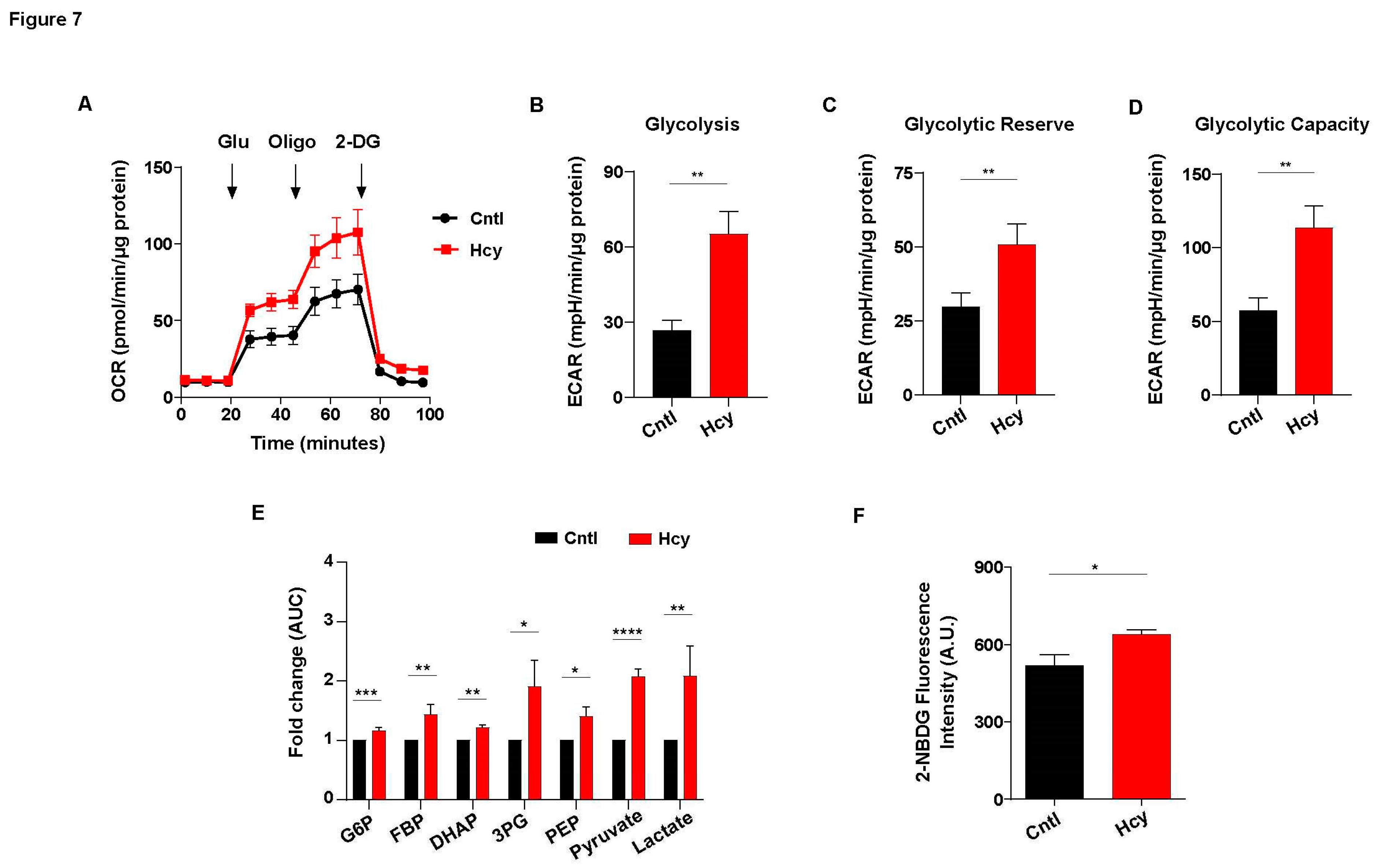 Preprints 84104 g007