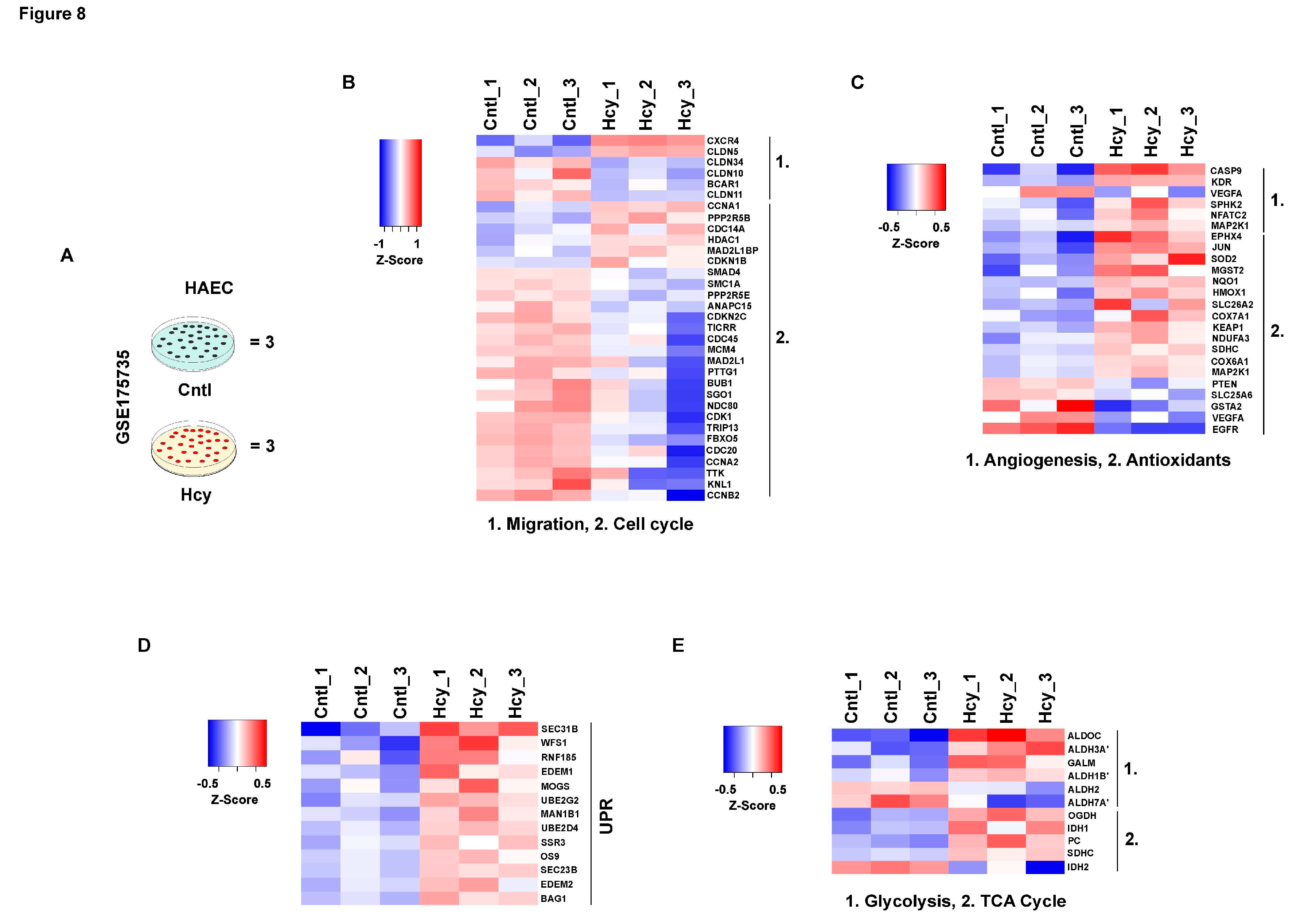 Preprints 84104 g008