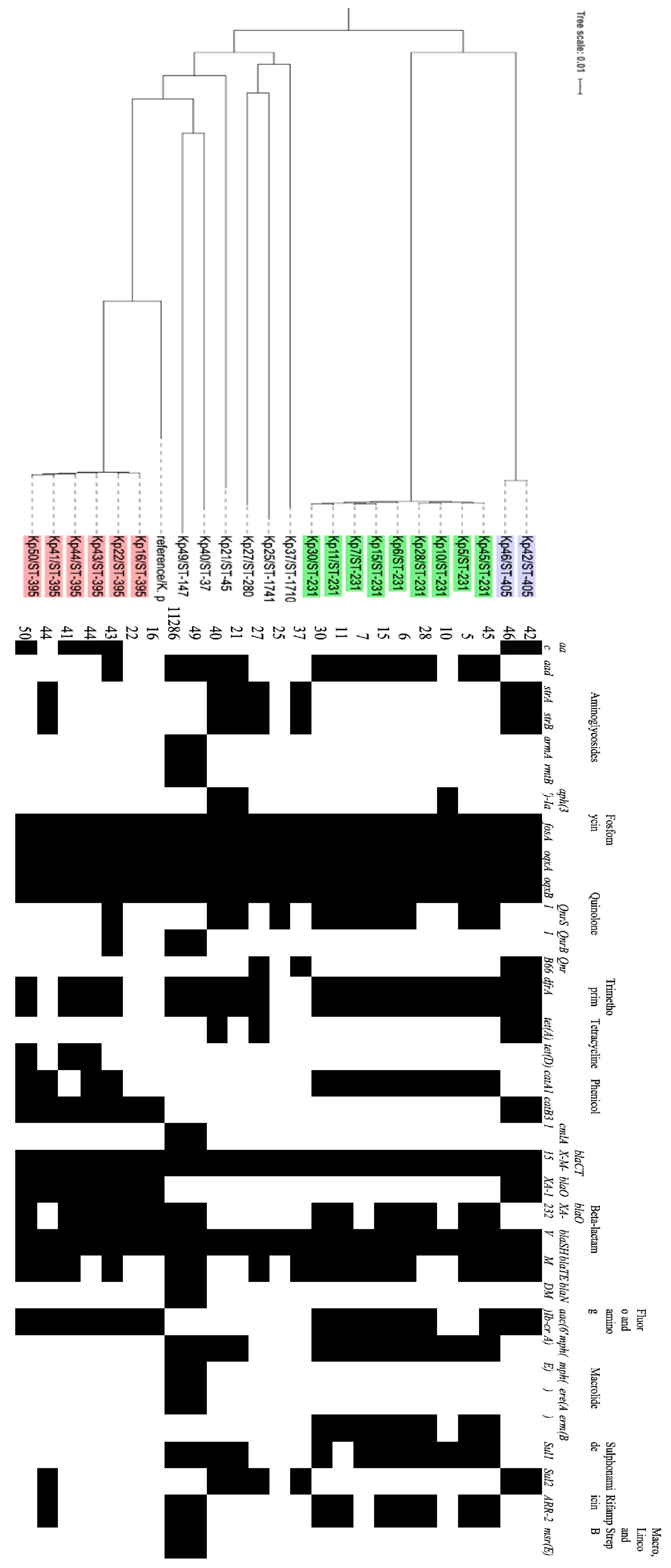 Preprints 84142 g003