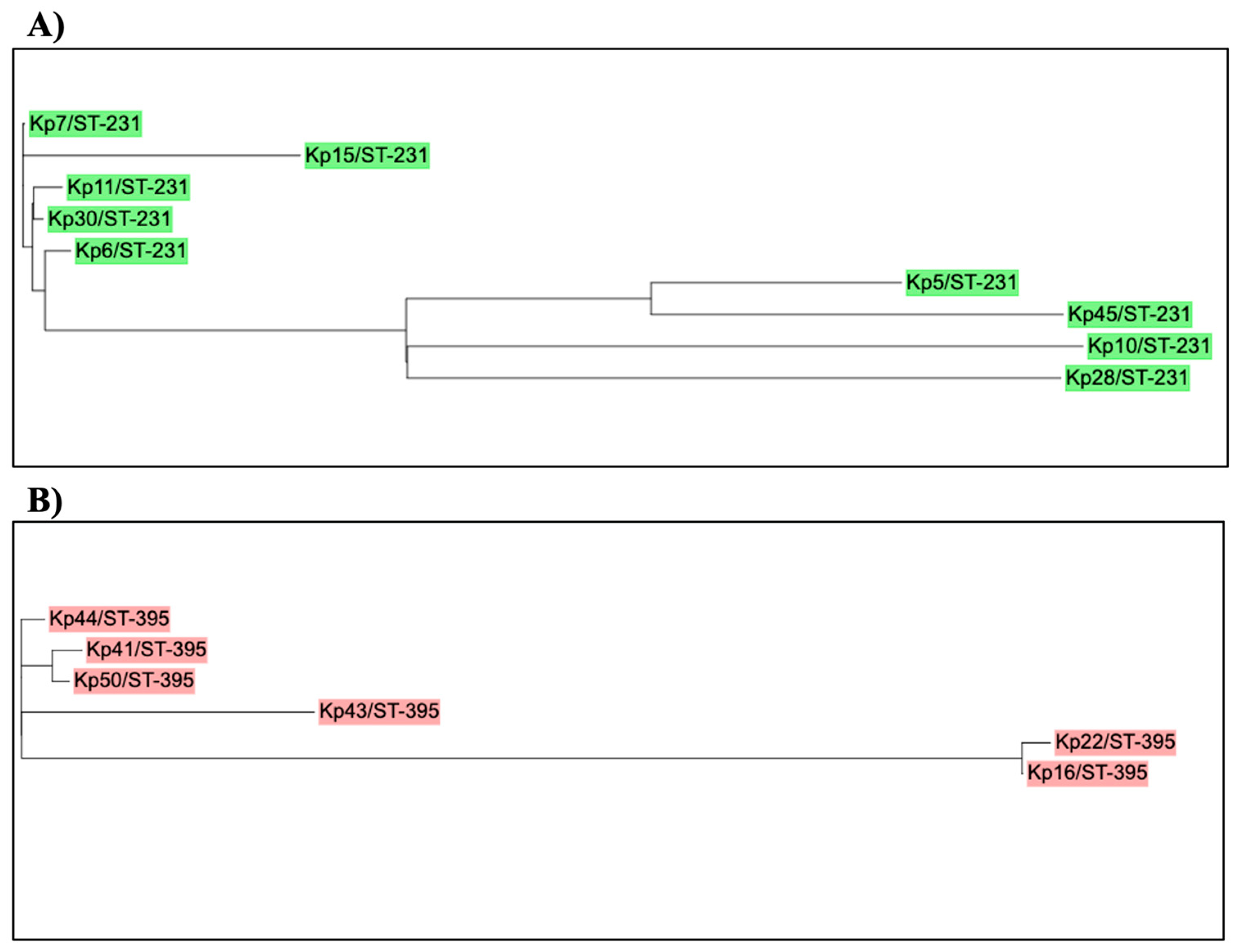 Preprints 84142 g004