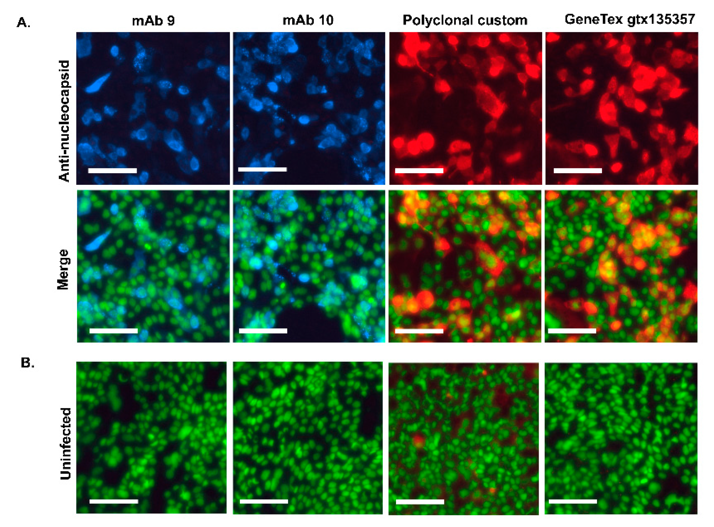 Preprints 102669 g003