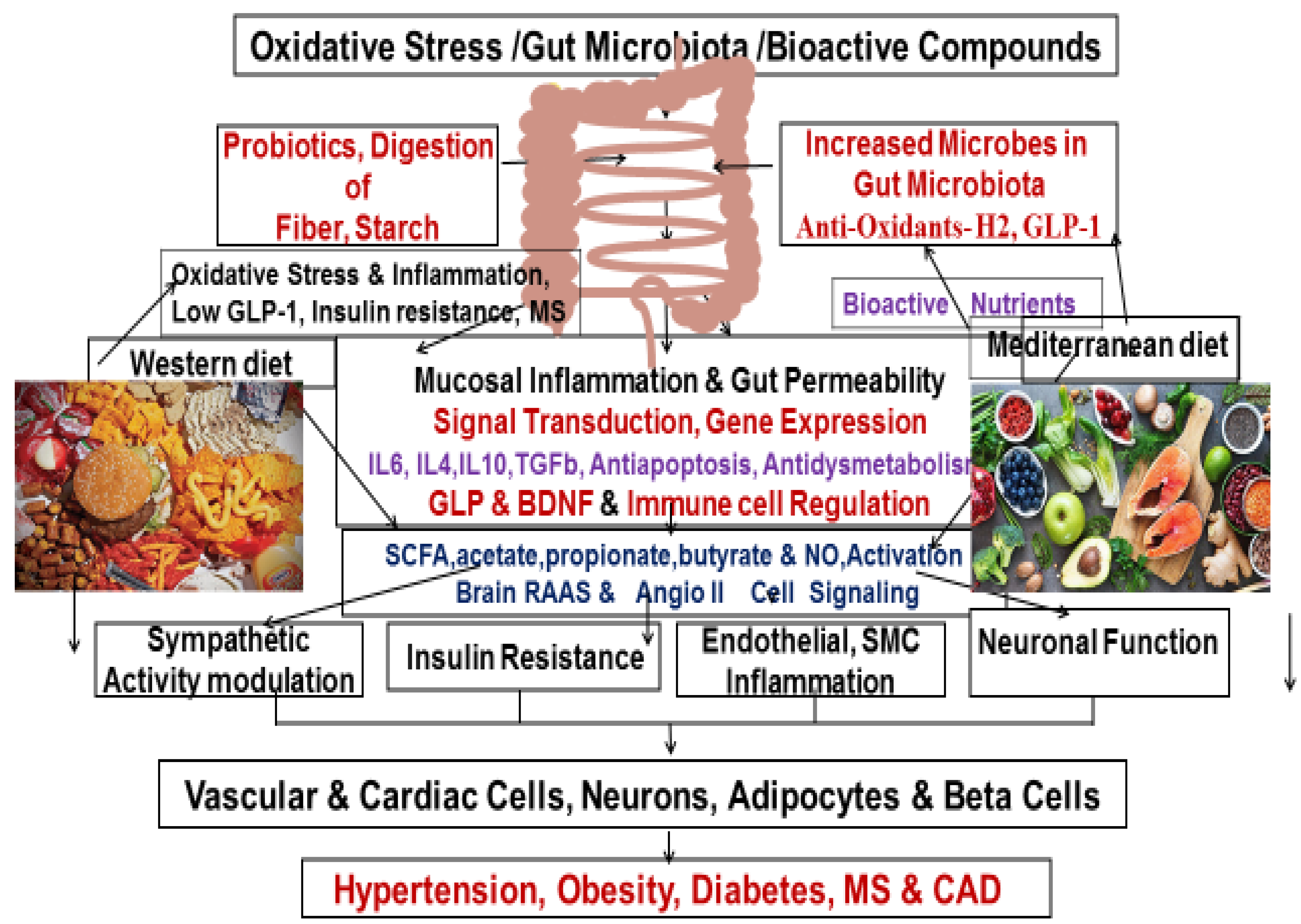 Preprints 115638 g001