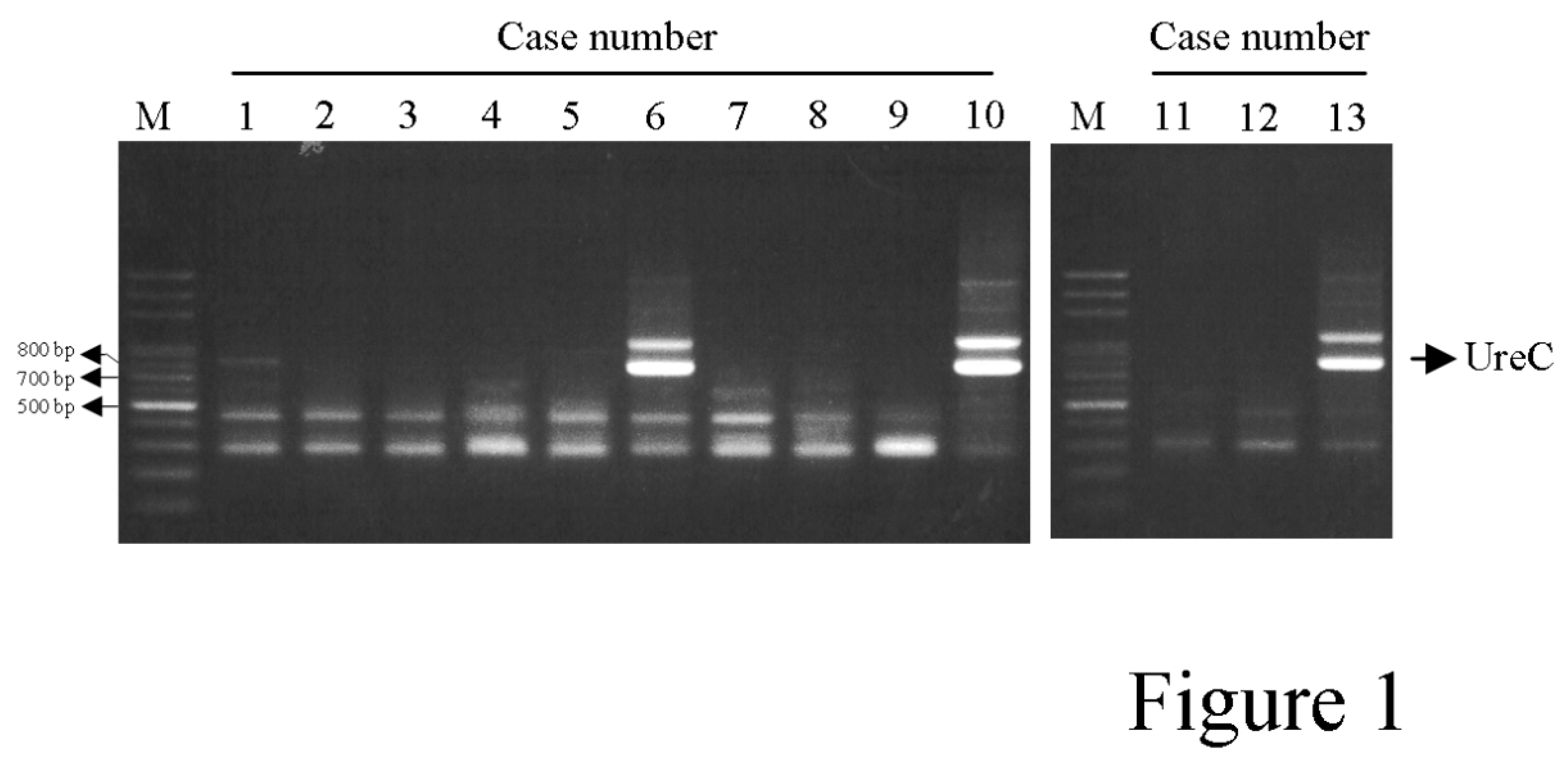 Preprints 83597 g001