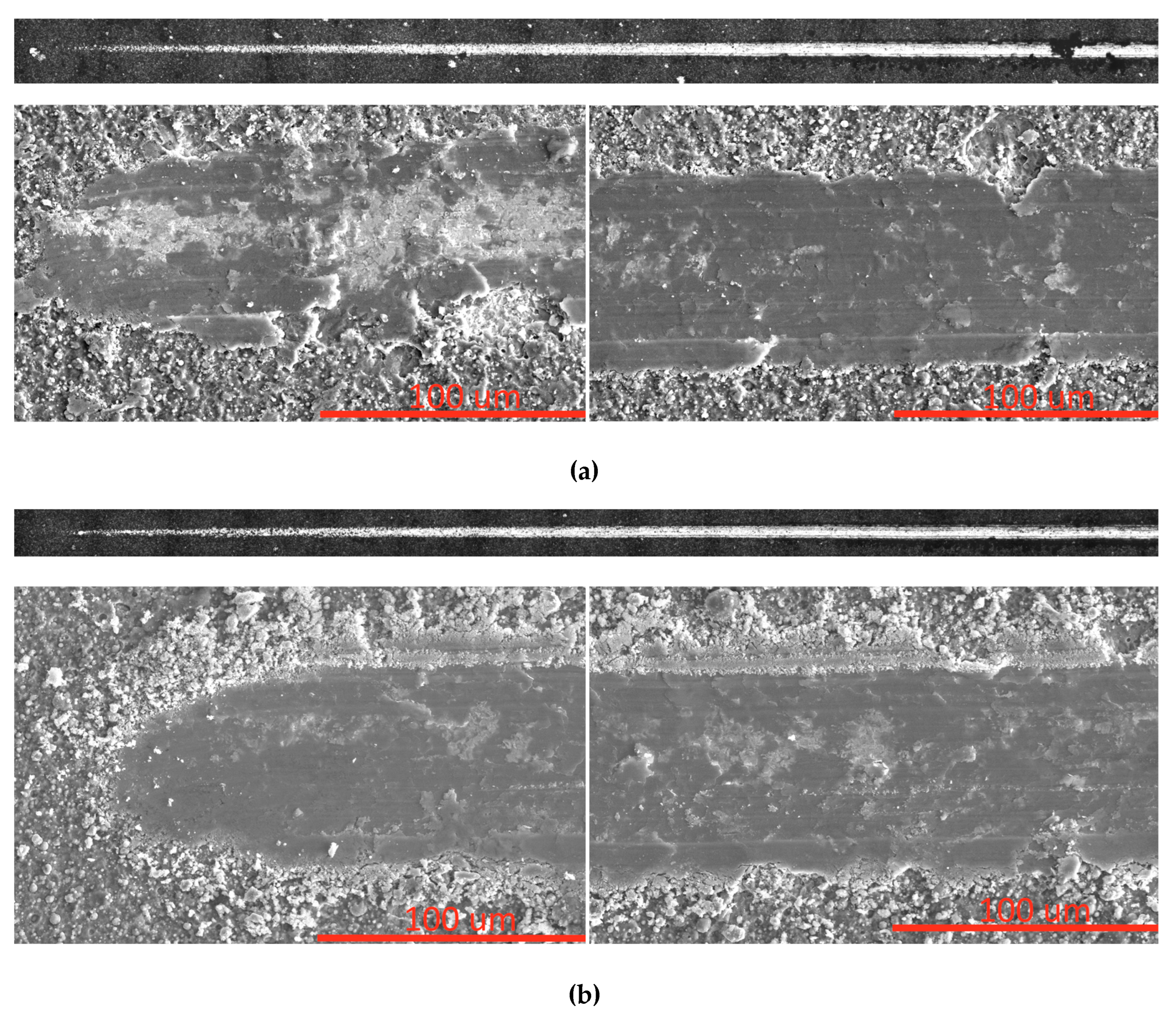 Preprints 113408 g001