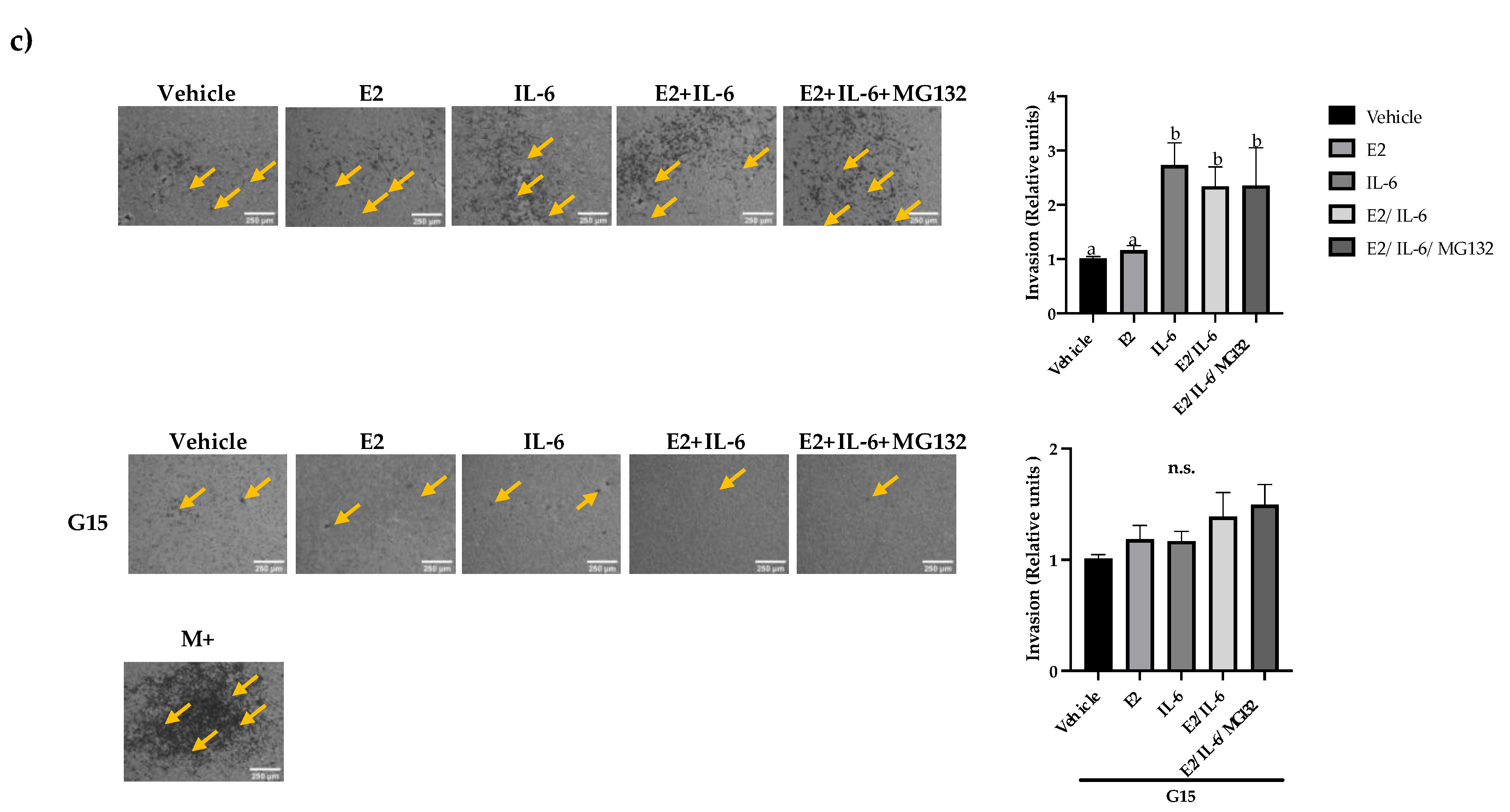 Preprints 113180 g004b