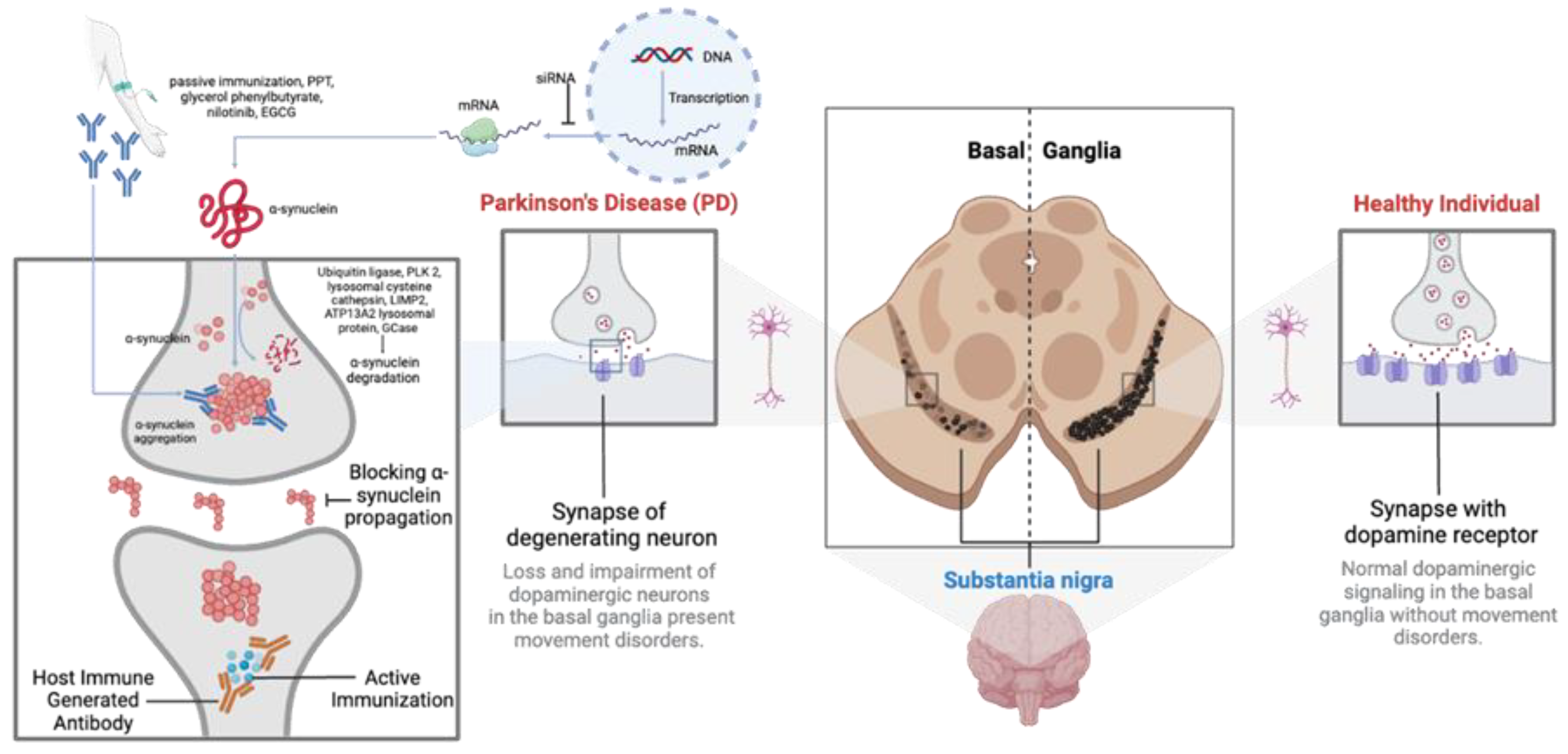 Preprints 113298 g002