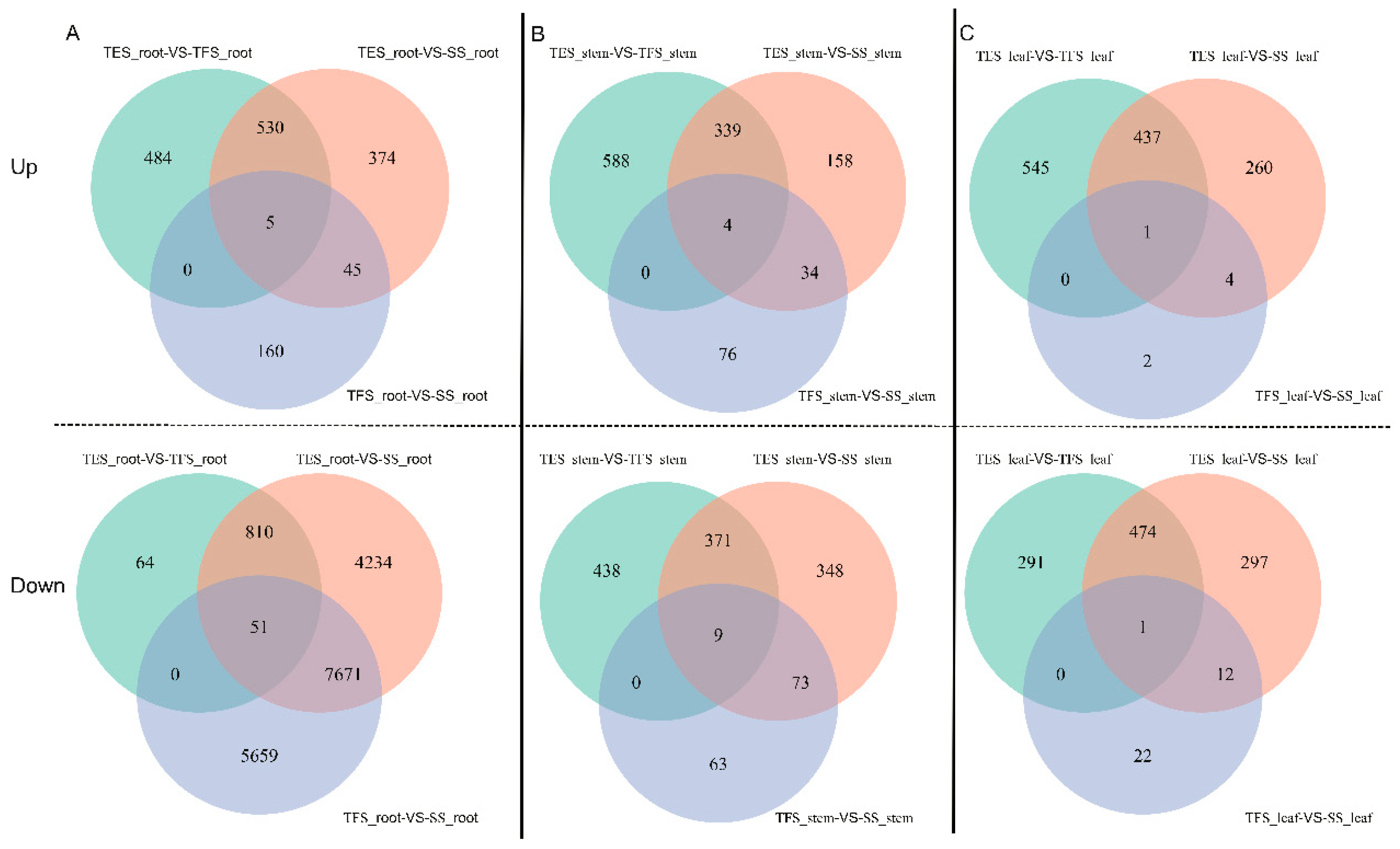 Preprints 71235 g001