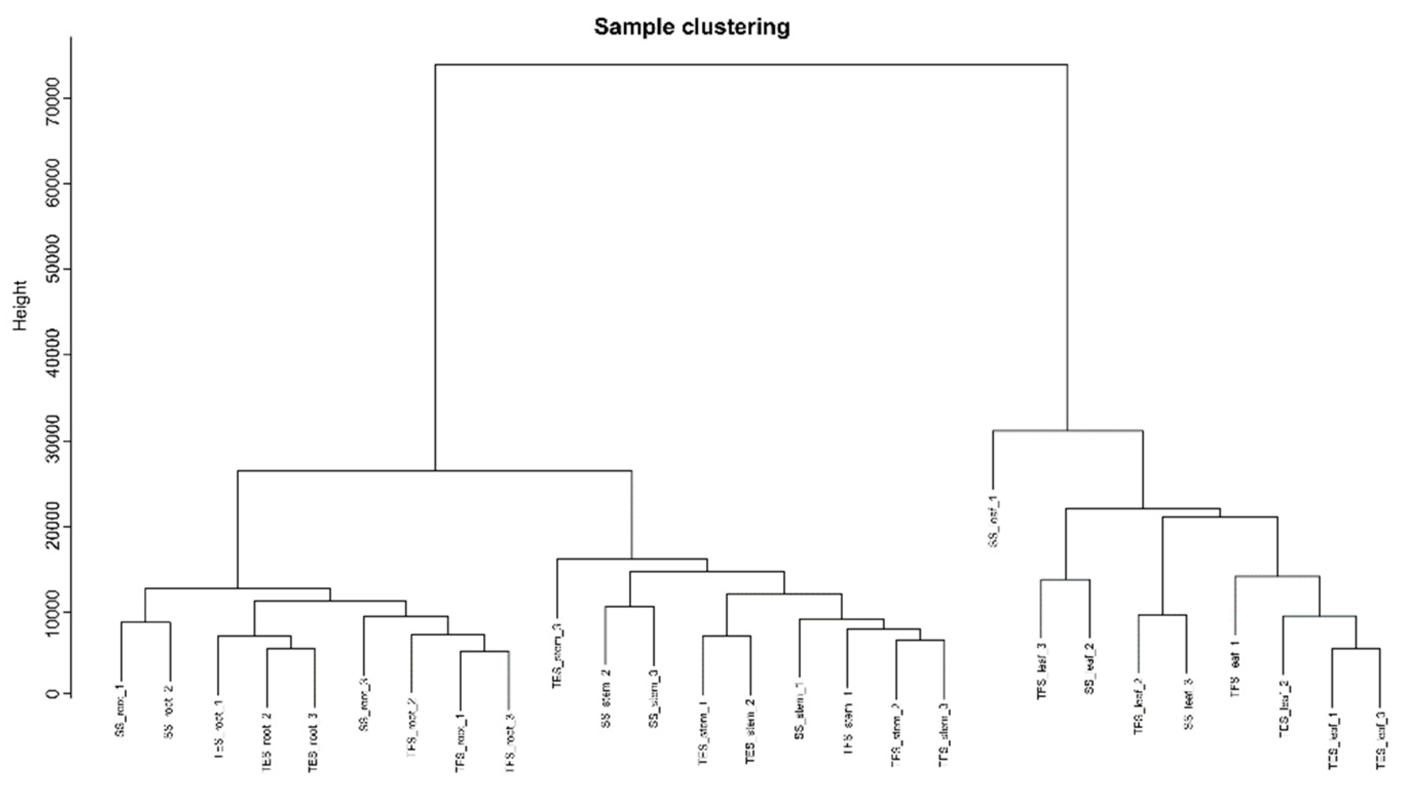 Preprints 71235 g002