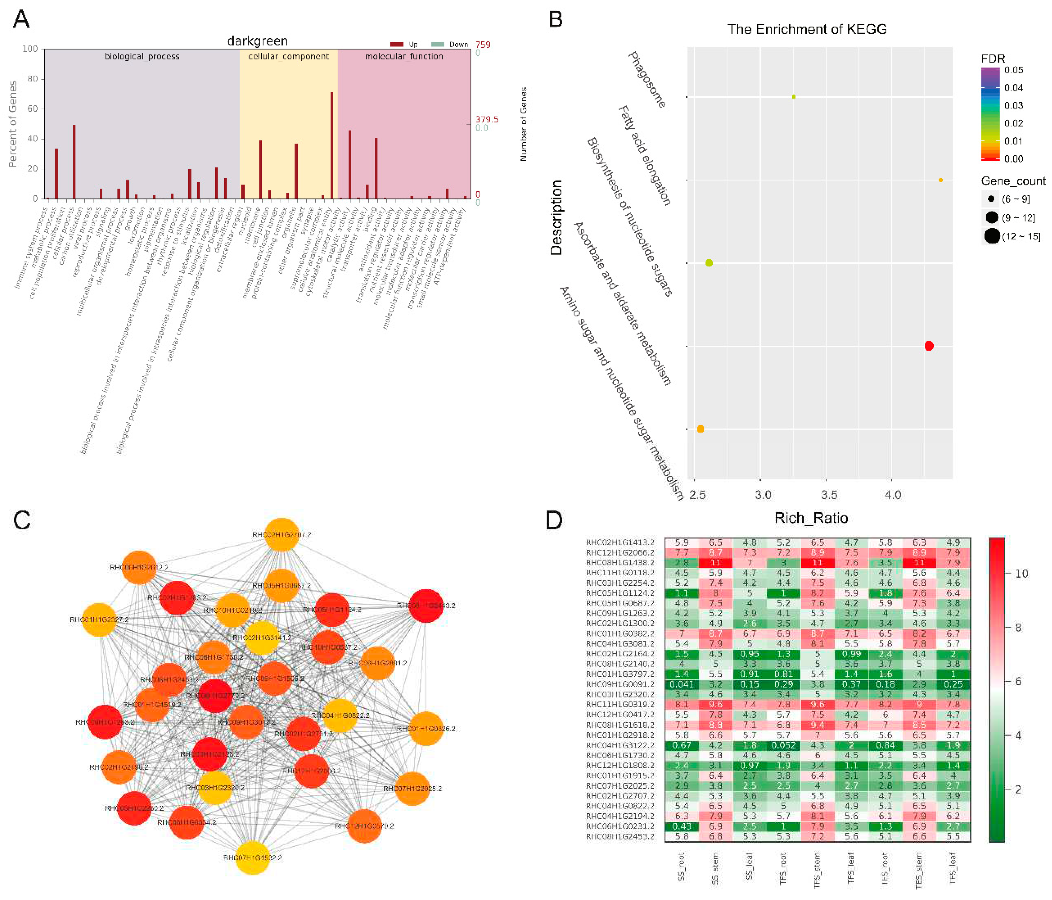 Preprints 71235 g006