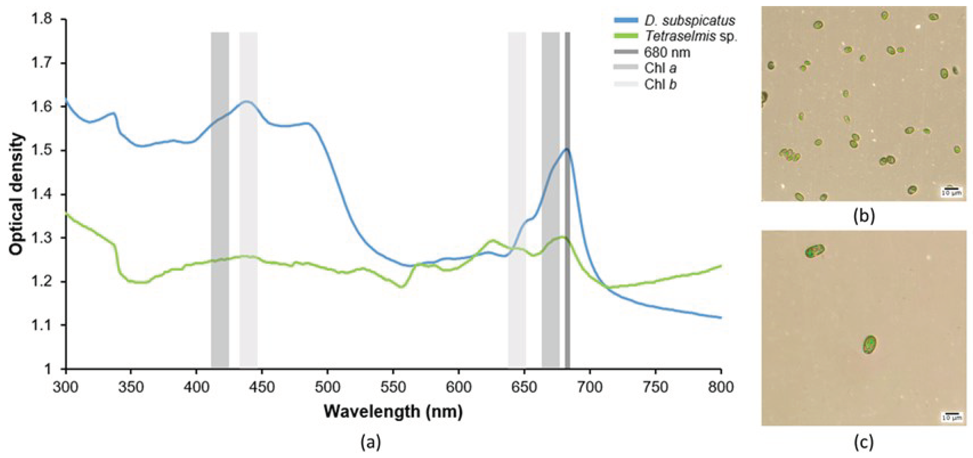 Preprints 100558 g001