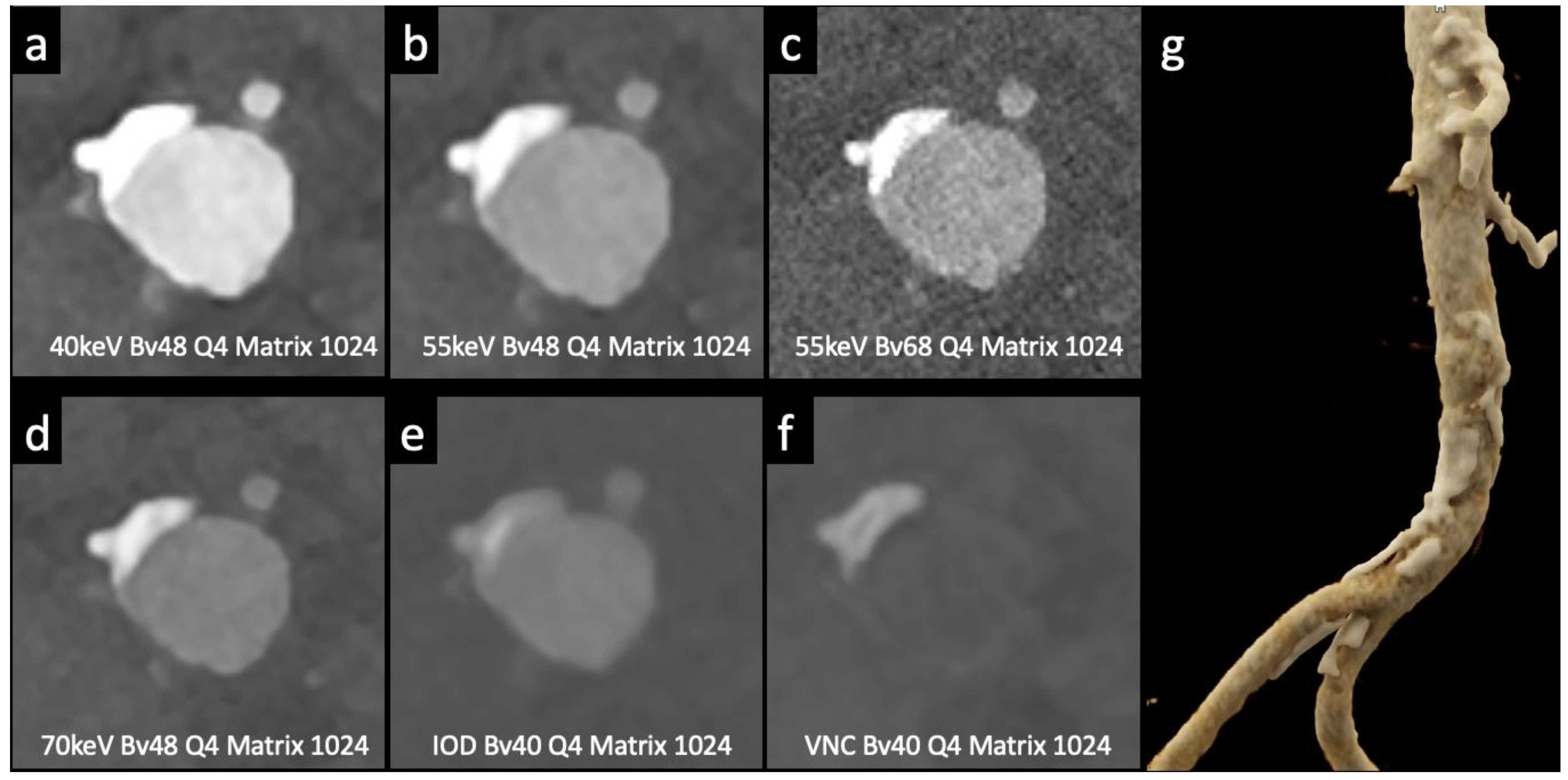 Preprints 88219 g003