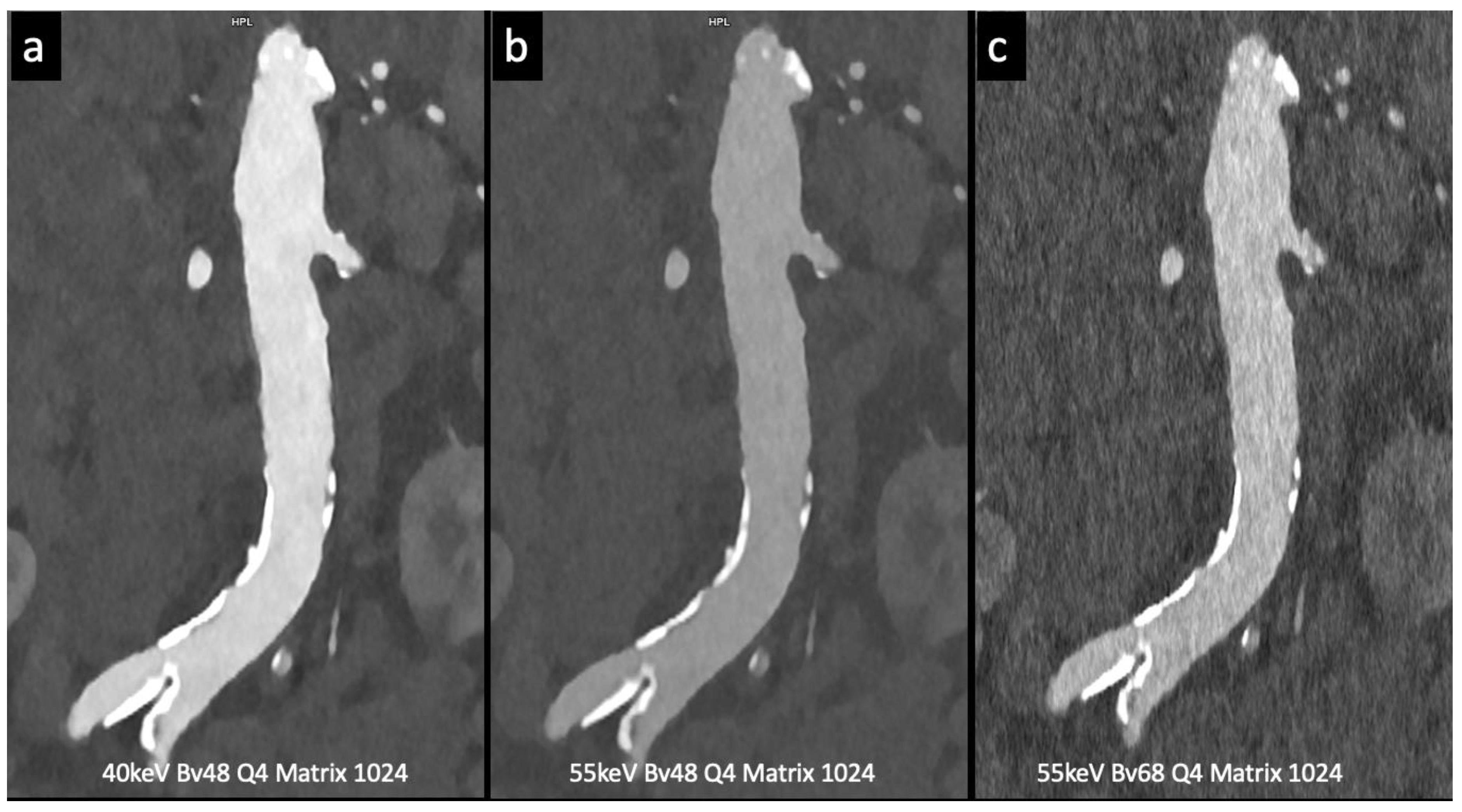 Preprints 88219 g004a