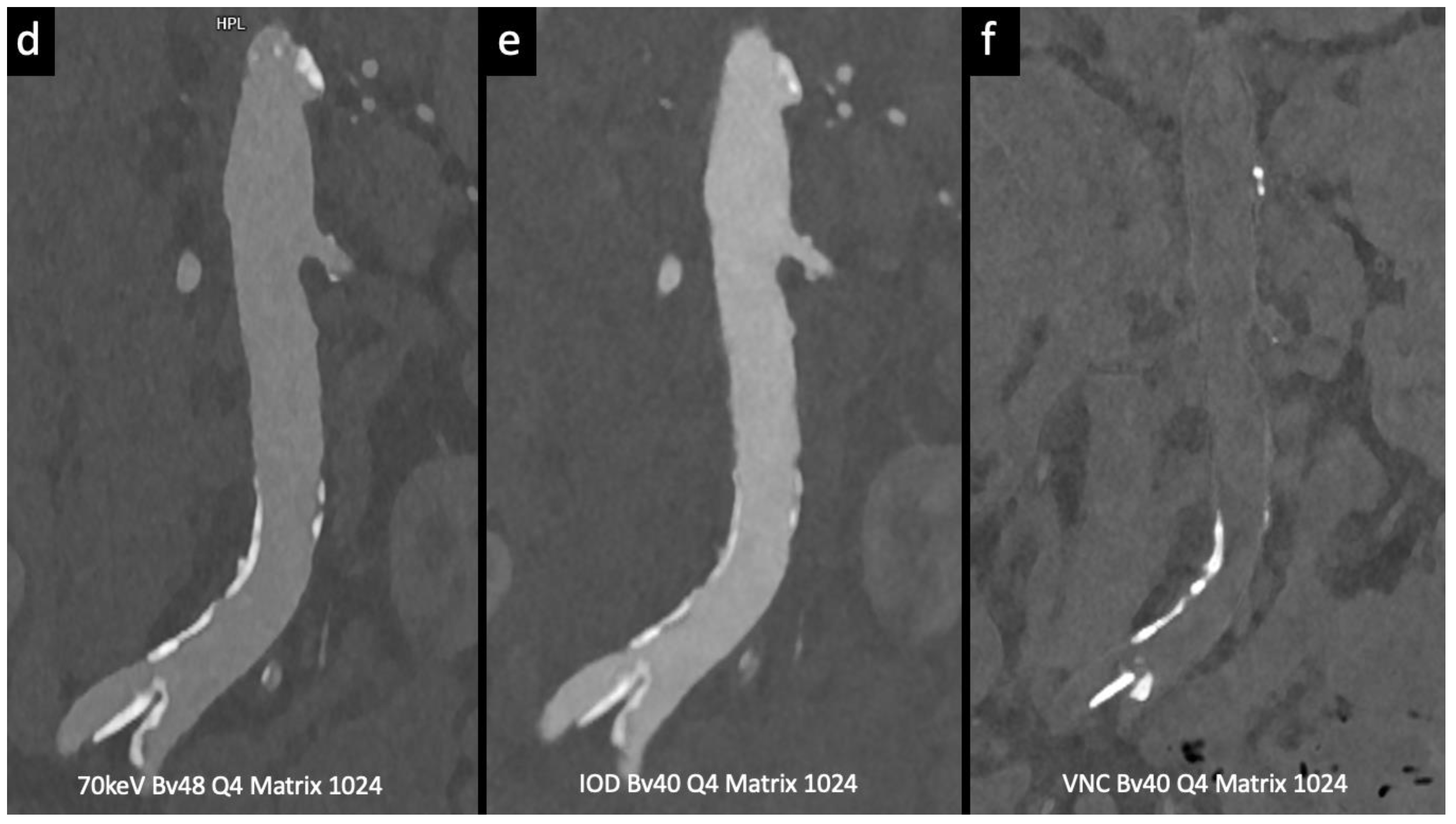 Preprints 88219 g004b