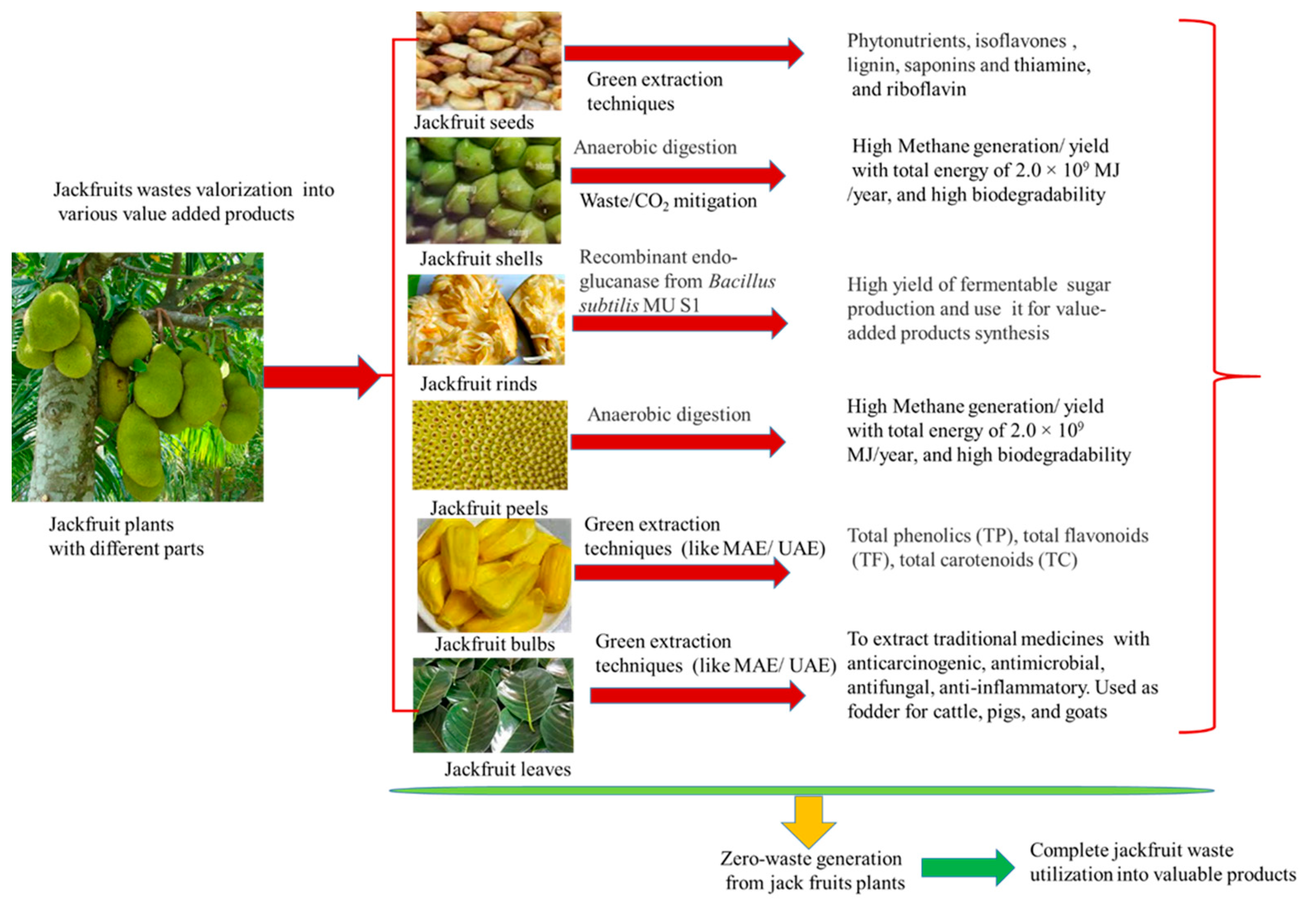 Preprints 78634 g002