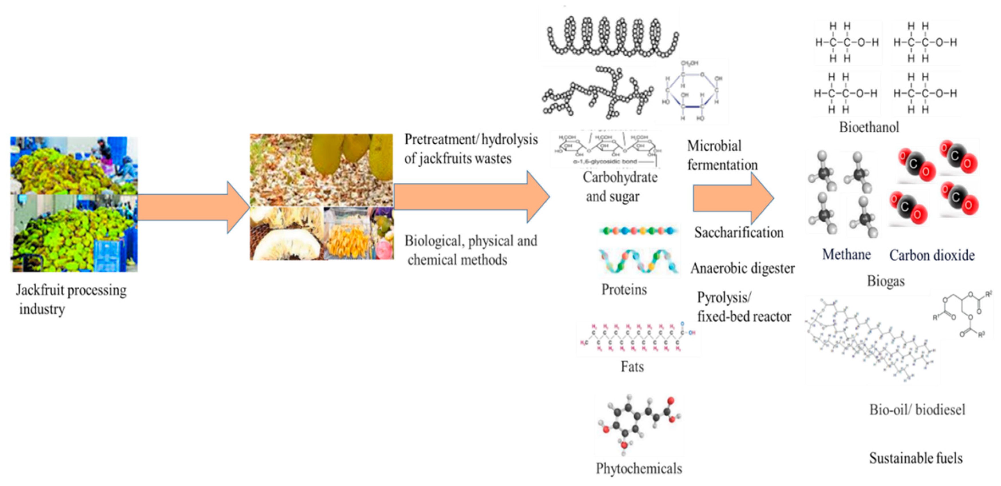 Preprints 78634 g005