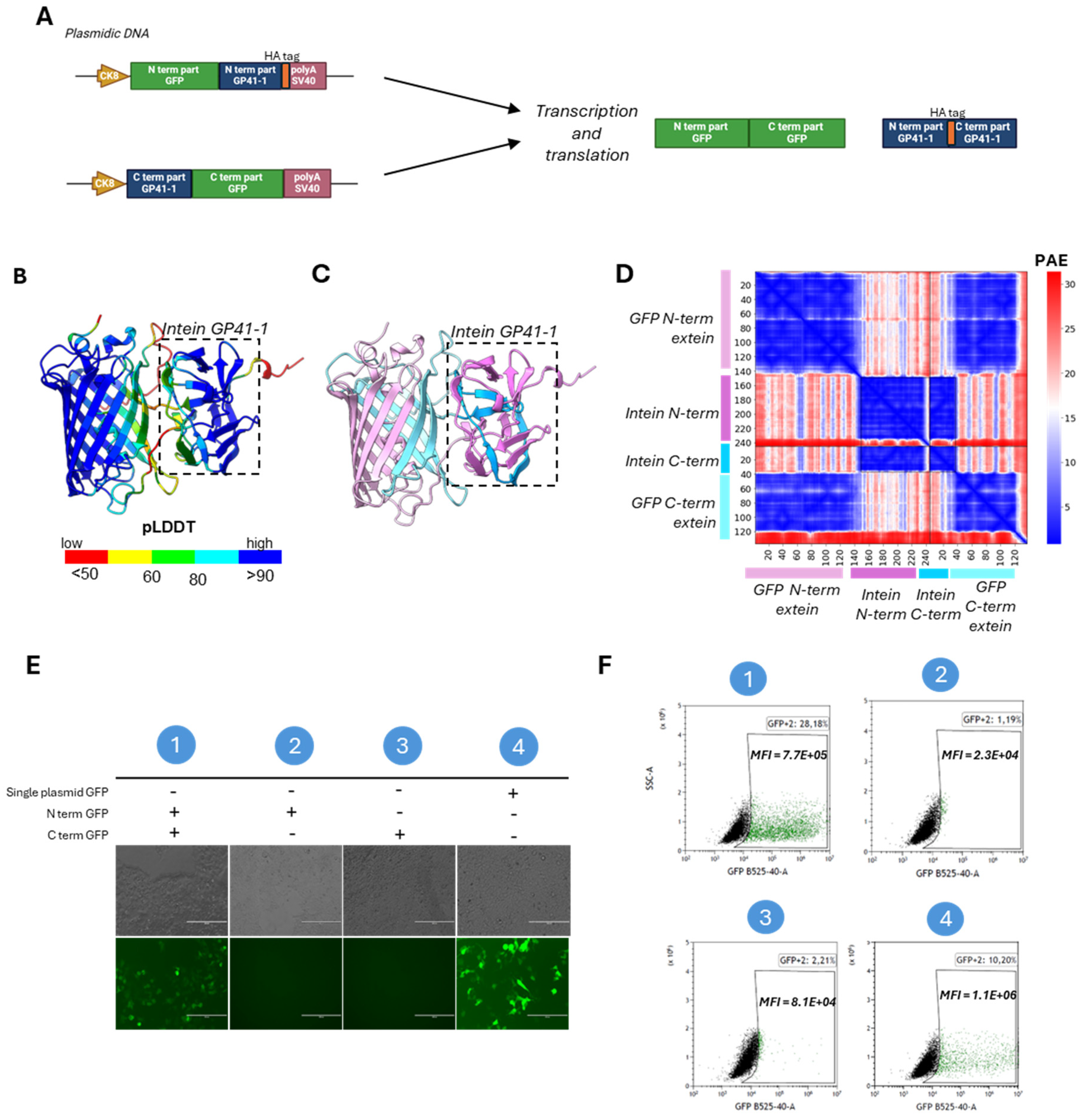 Preprints 117315 g002