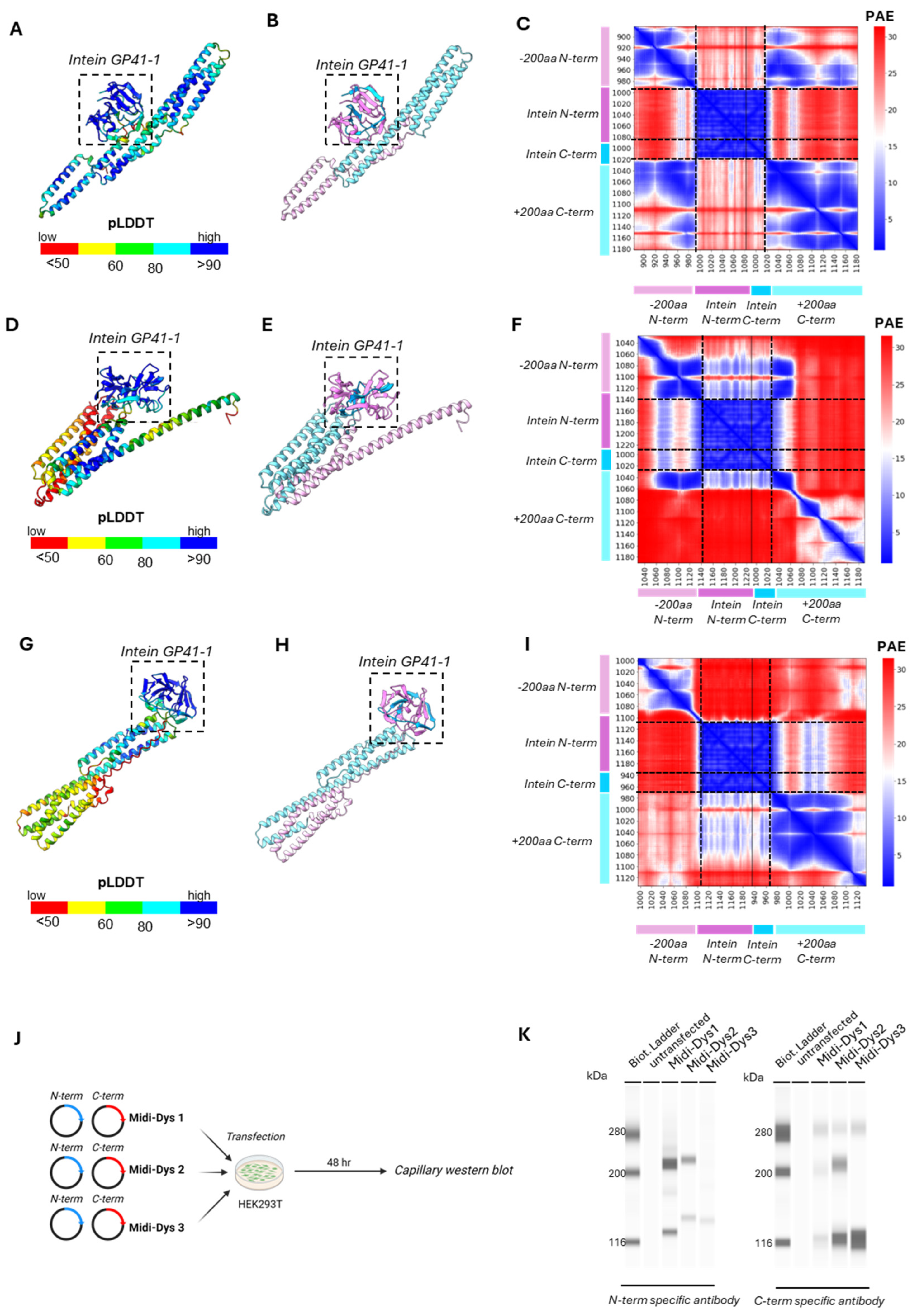 Preprints 117315 g003