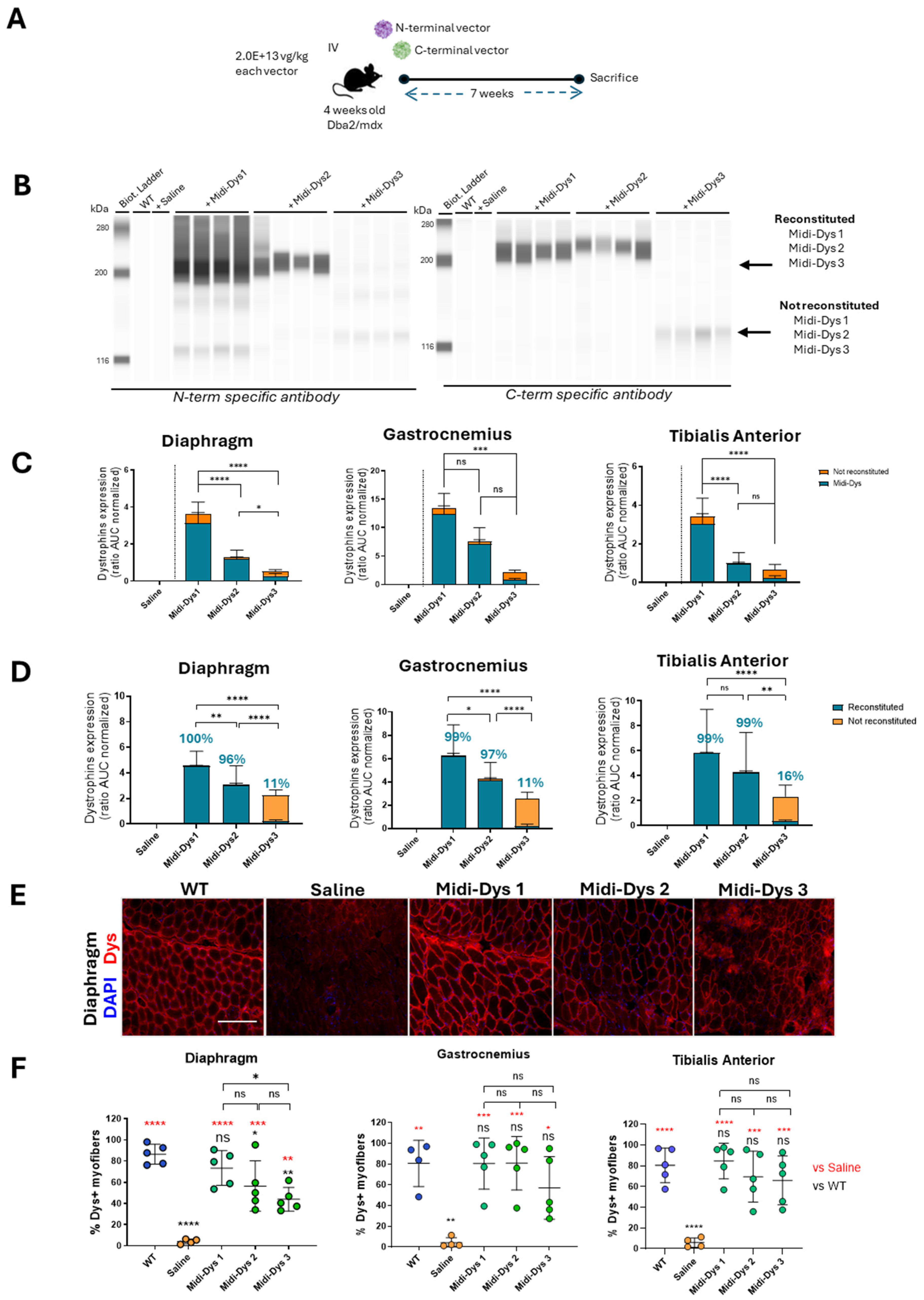 Preprints 117315 g004