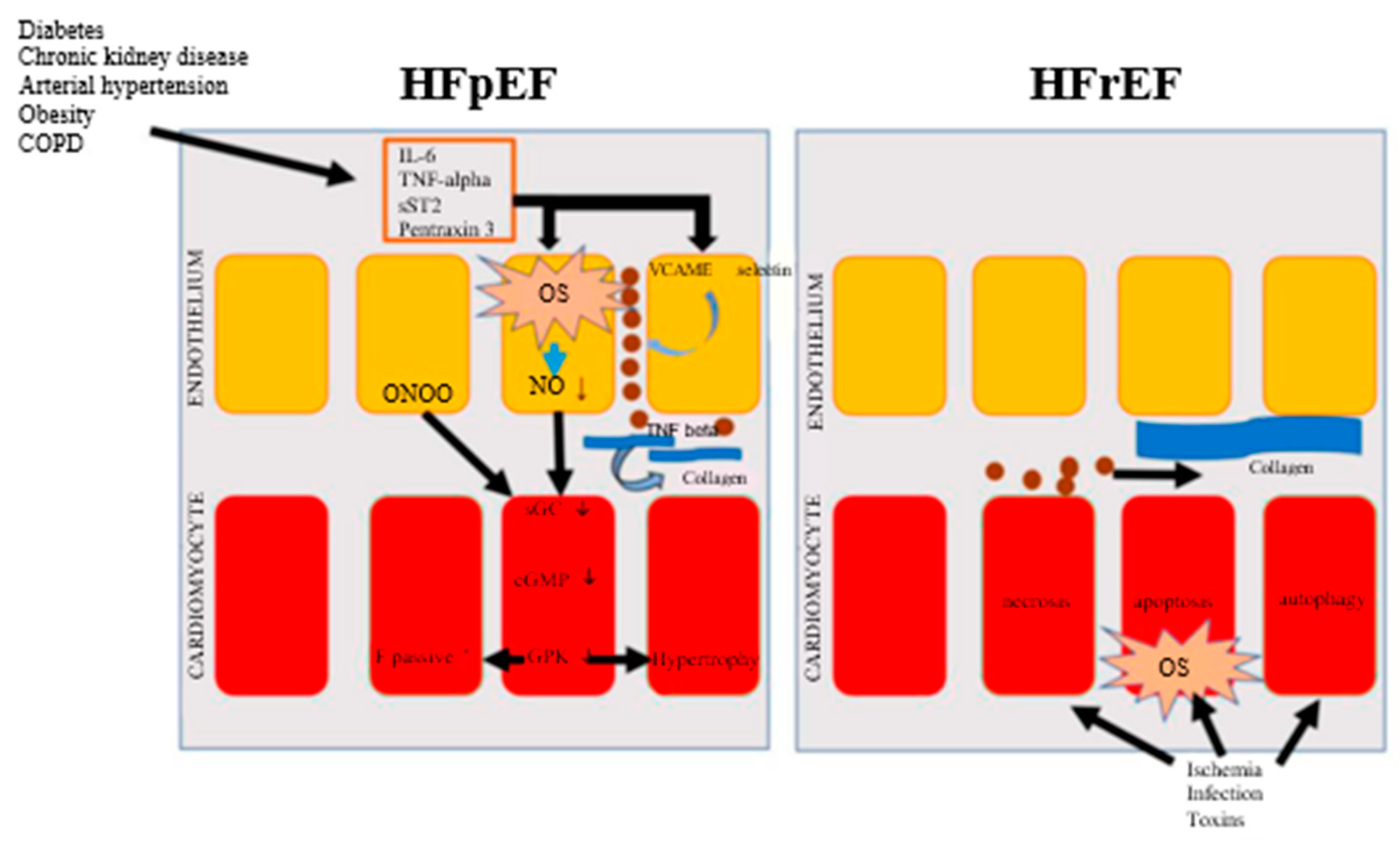 Preprints 78236 g001