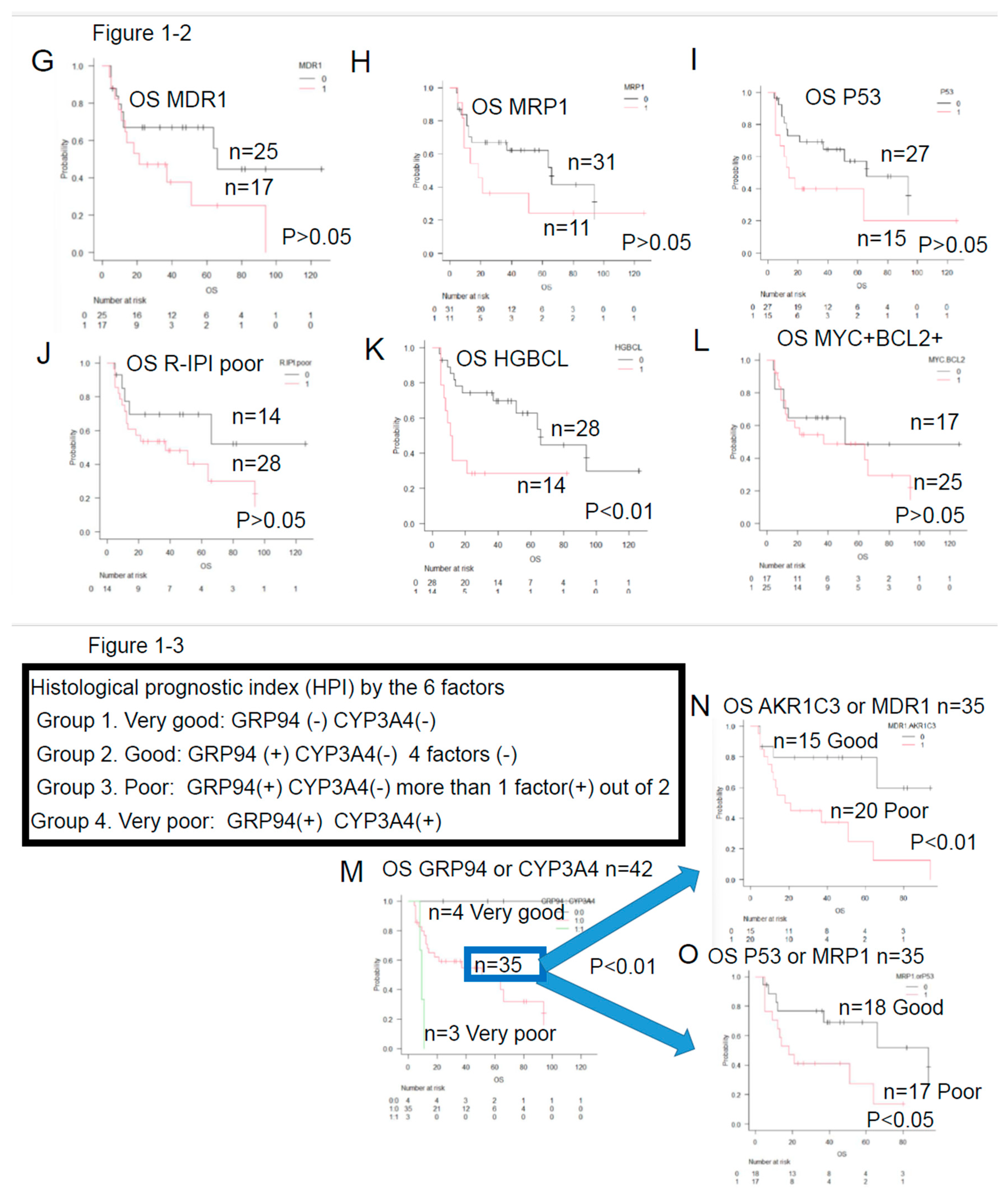 Preprints 82737 g001b