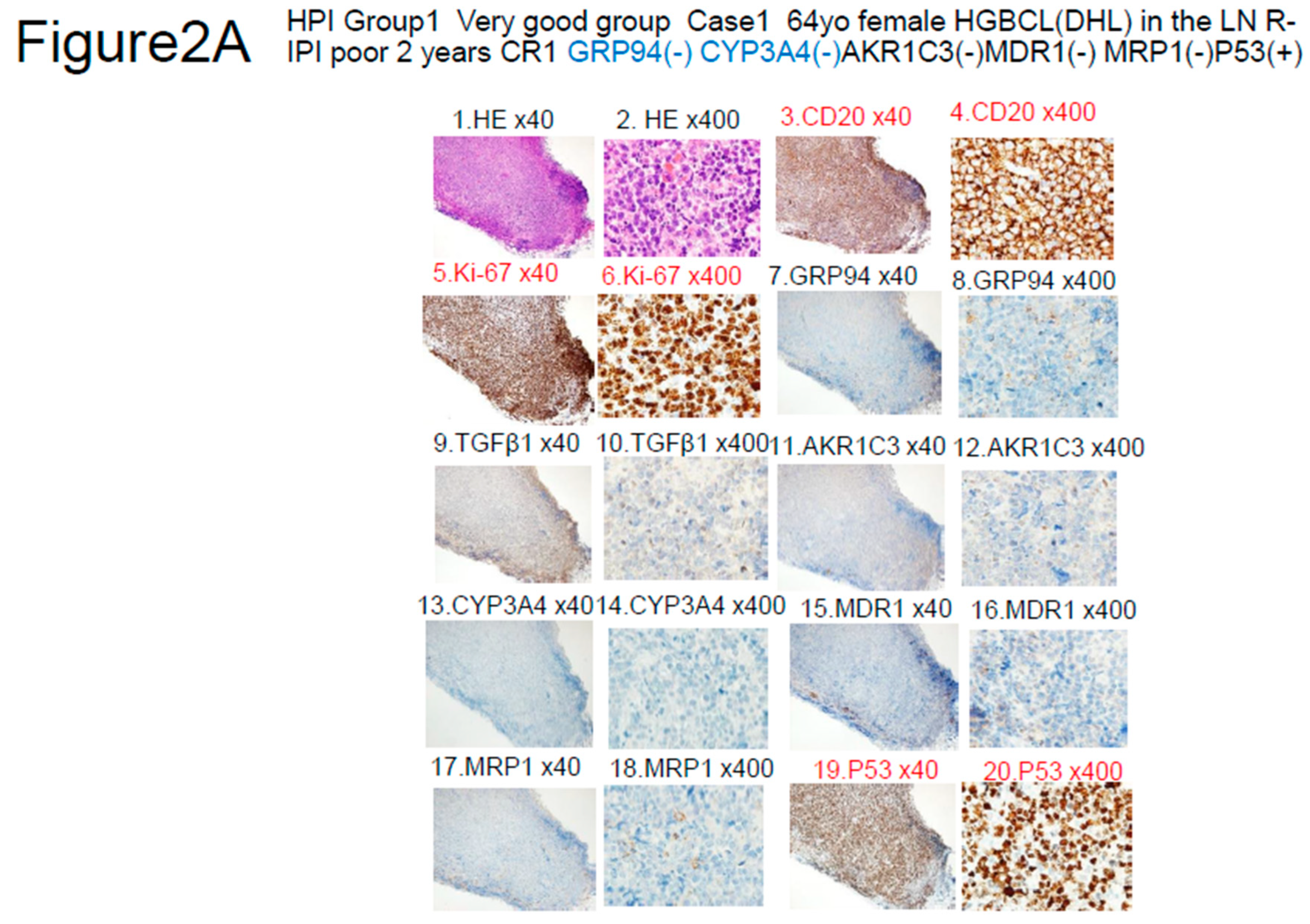 Preprints 82737 g002a