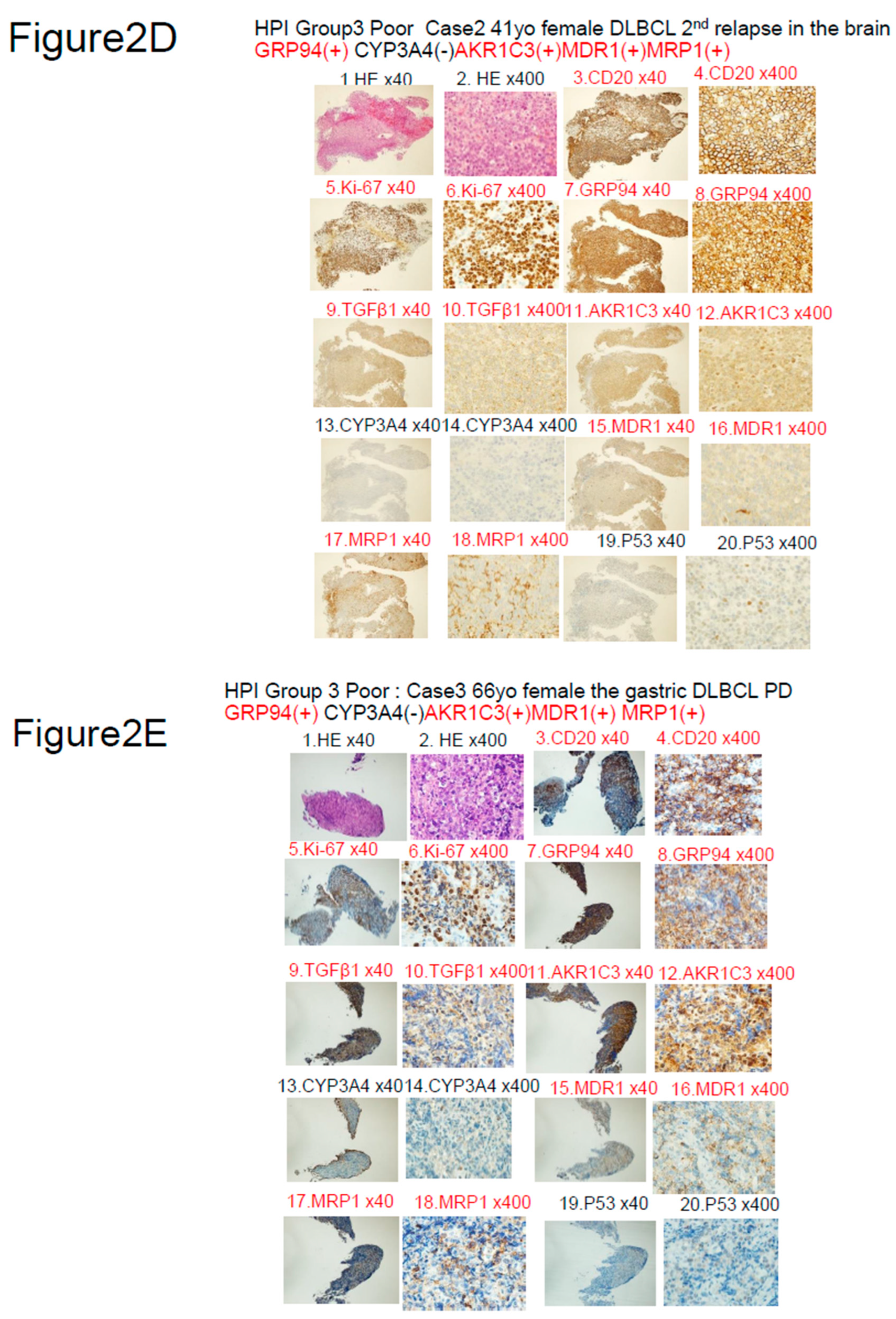 Preprints 82737 g002c