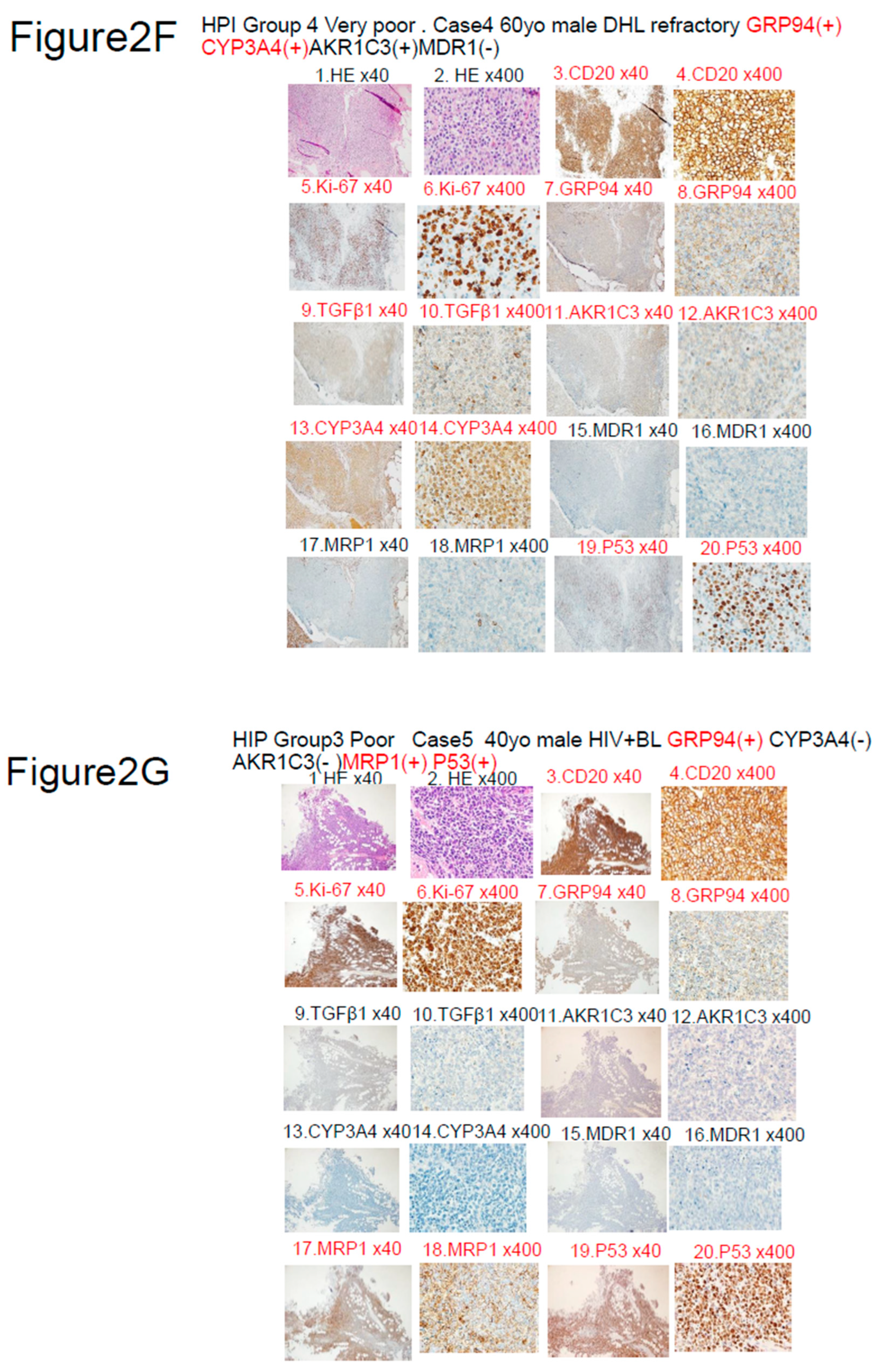 Preprints 82737 g002d