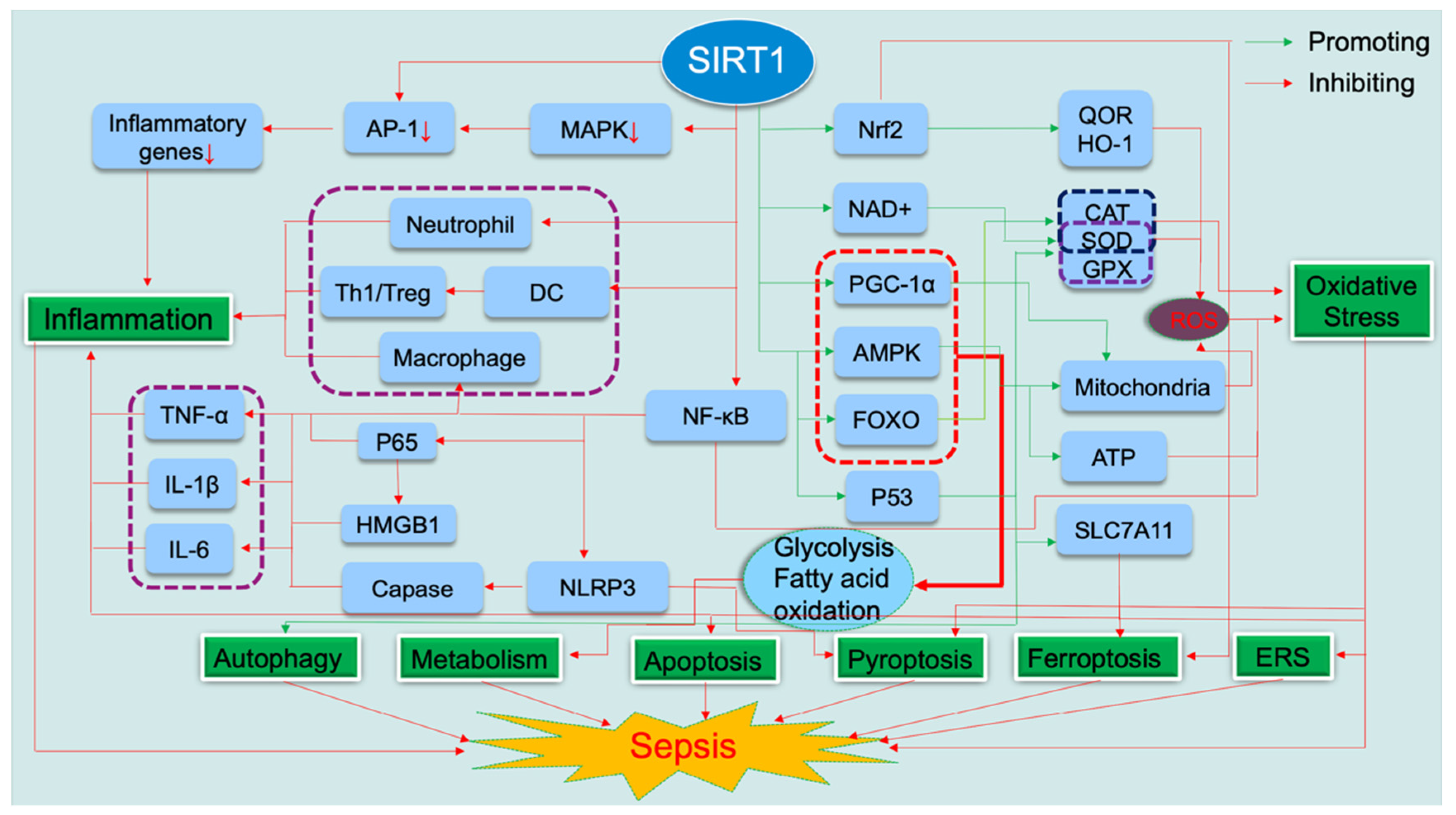 Preprints 112821 g001