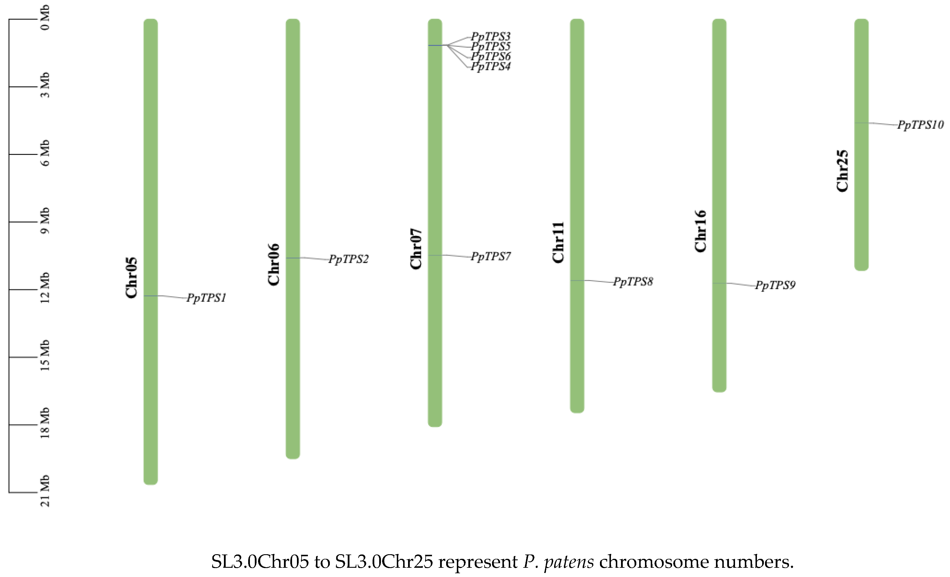 Preprints 118101 g001