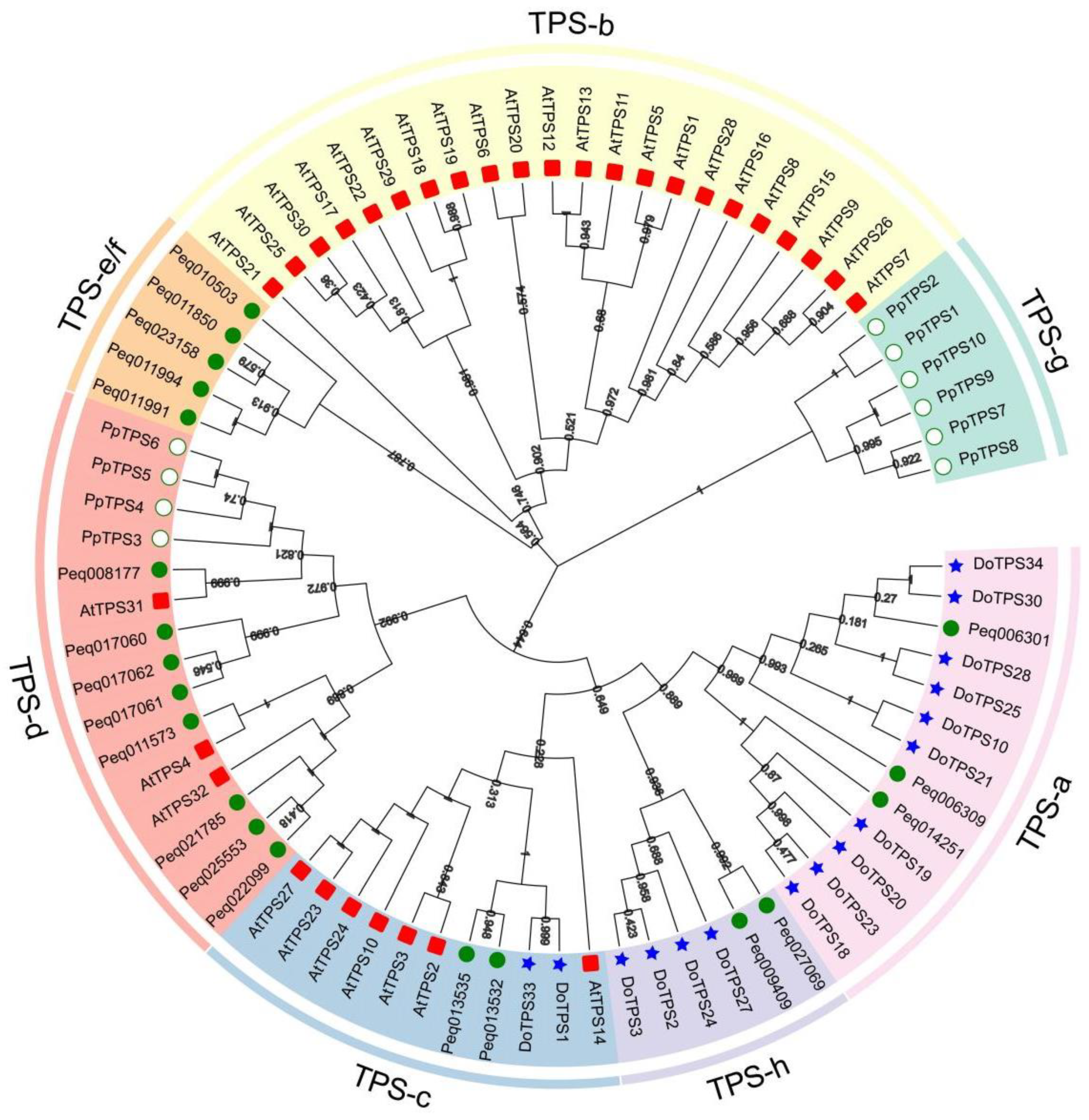 Preprints 118101 g002