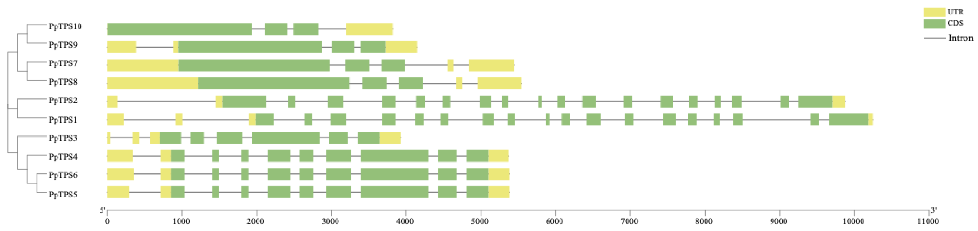 Preprints 118101 g003