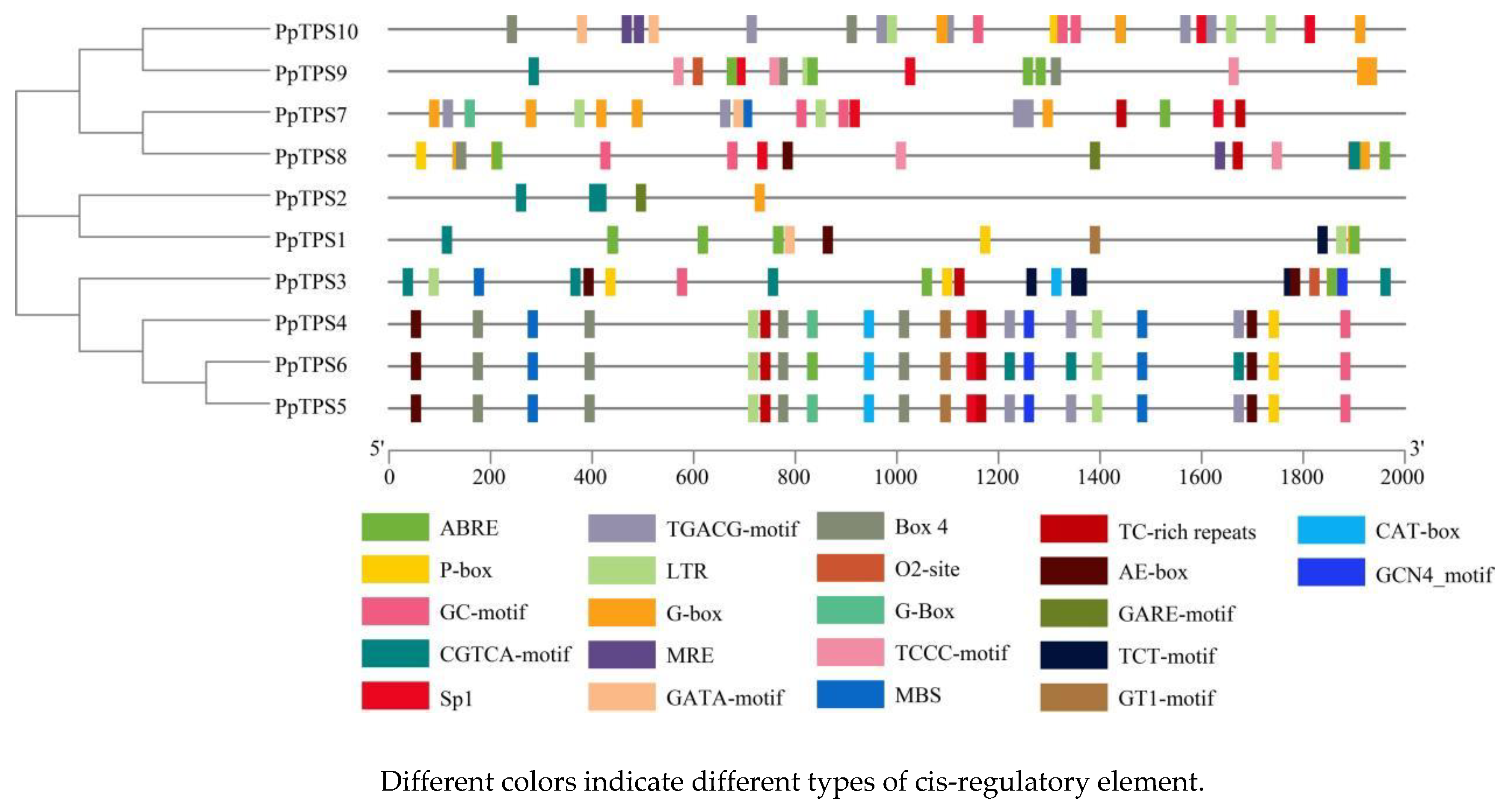 Preprints 118101 g005