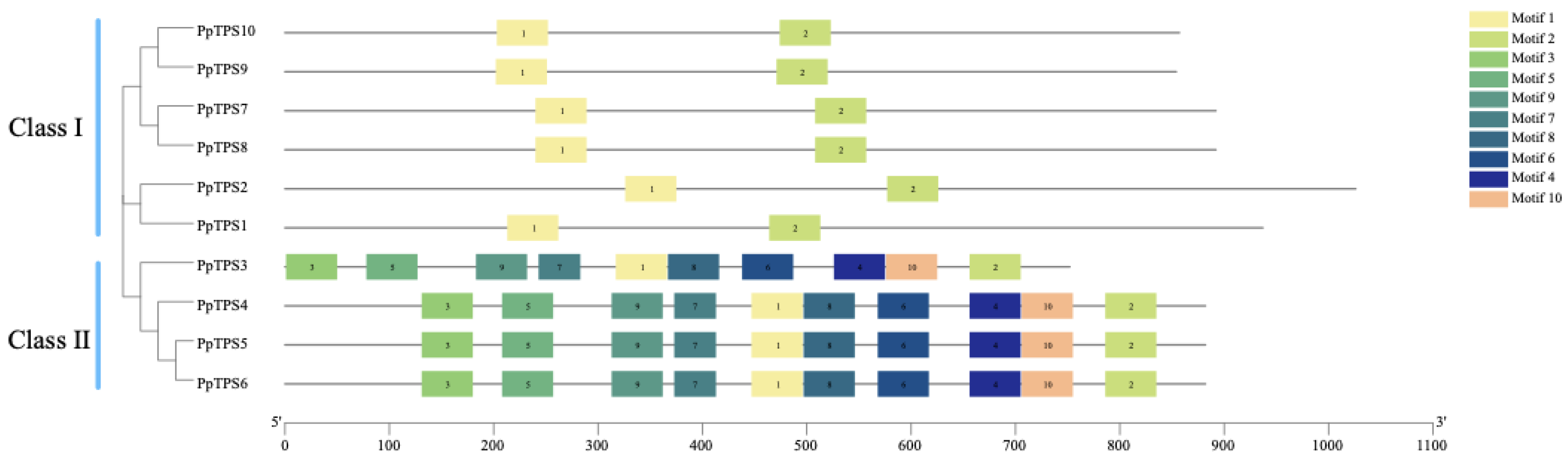 Preprints 118101 g007