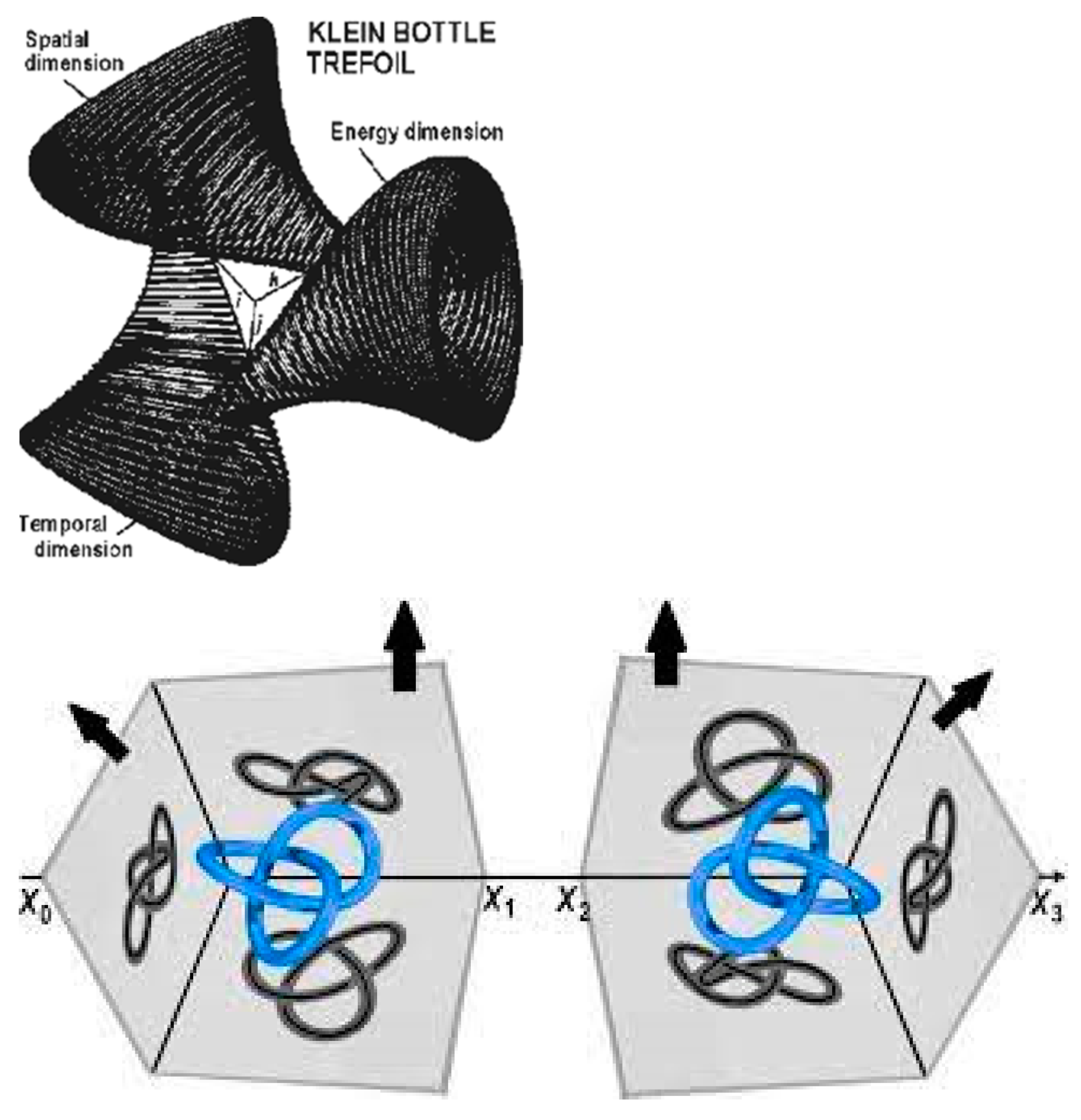 Preprints 84053 g008