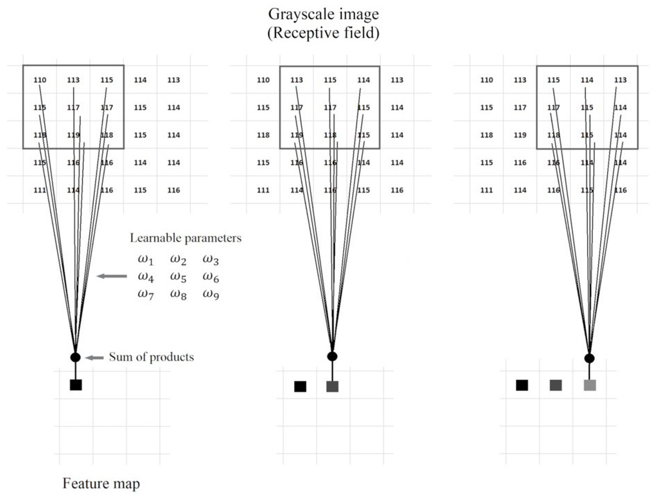 Preprints 92293 g002