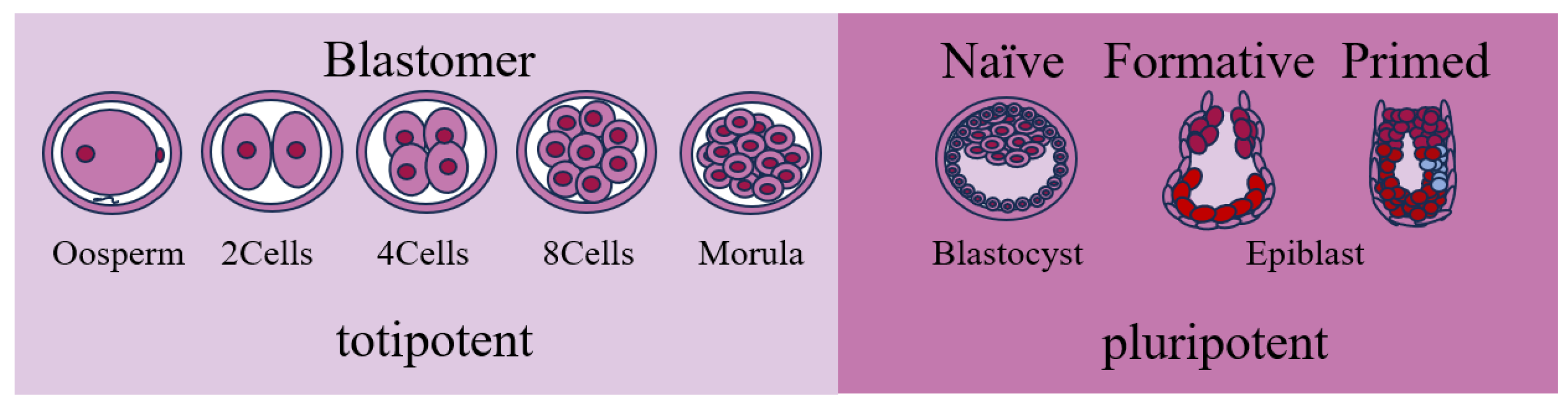 Preprints 93187 g001