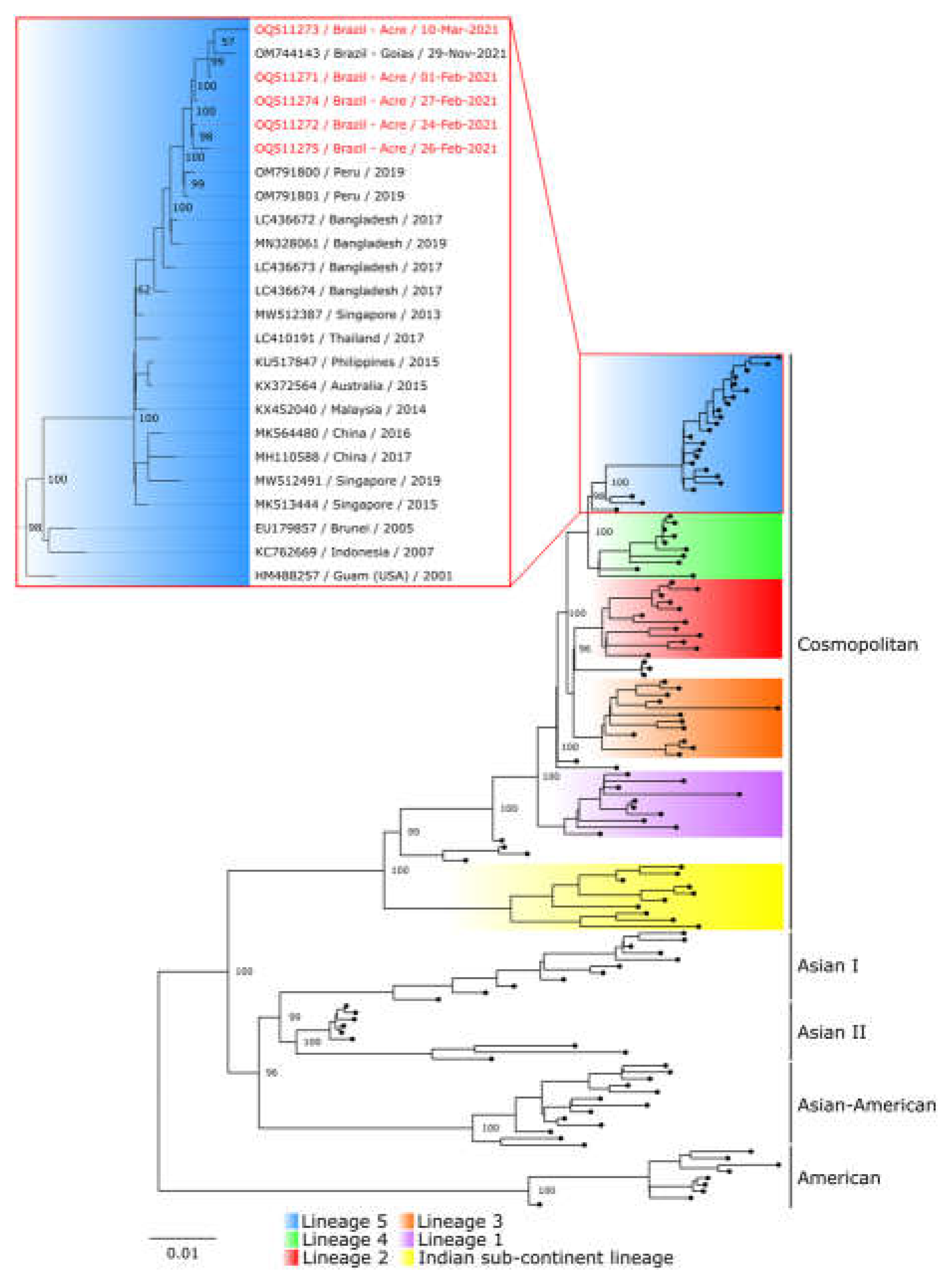 Preprints 73544 g001