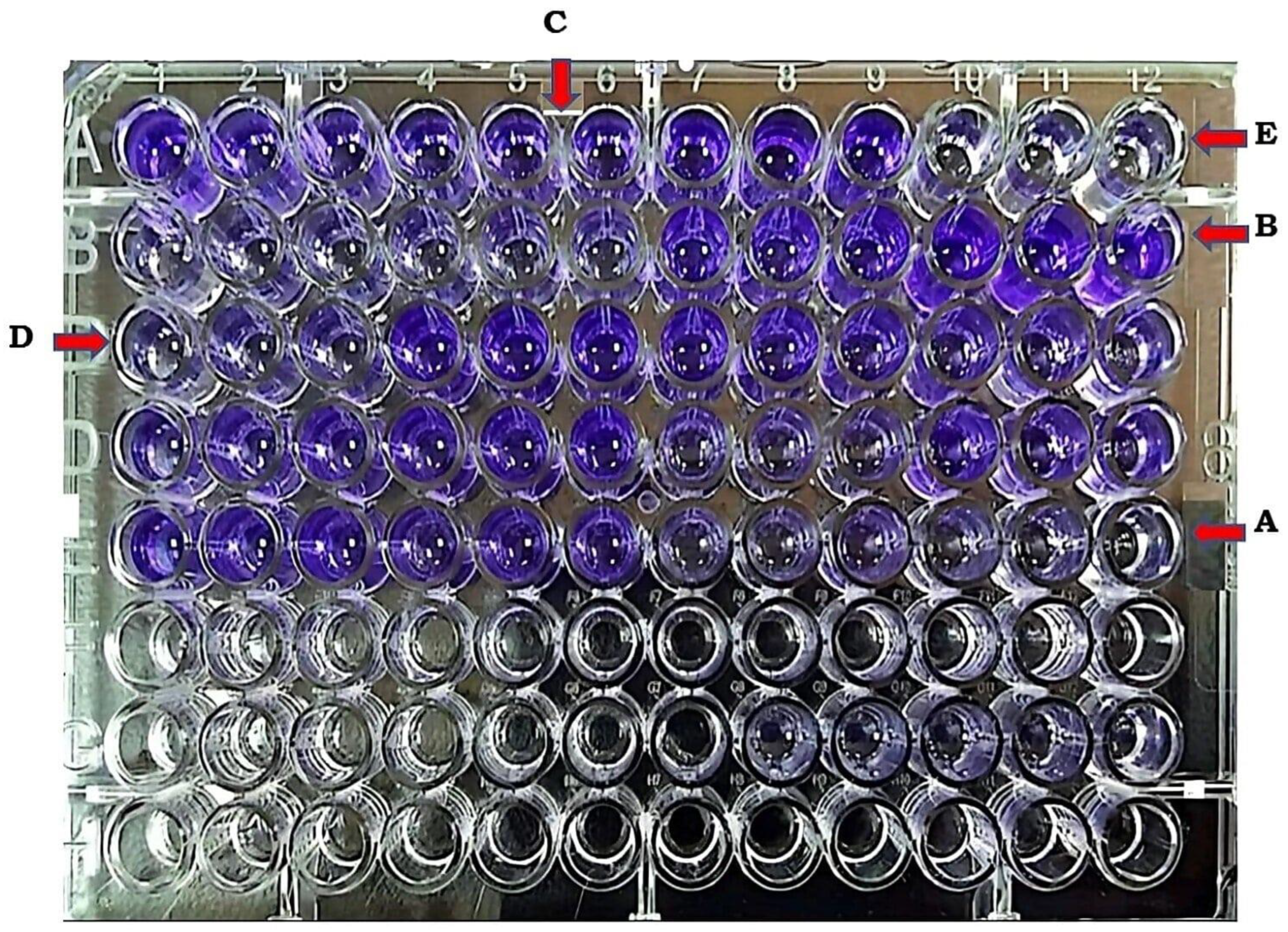 Preprints 105569 g003